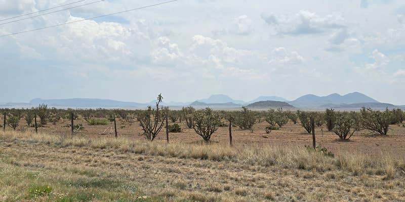 Camper submitted image from Hornets Nest