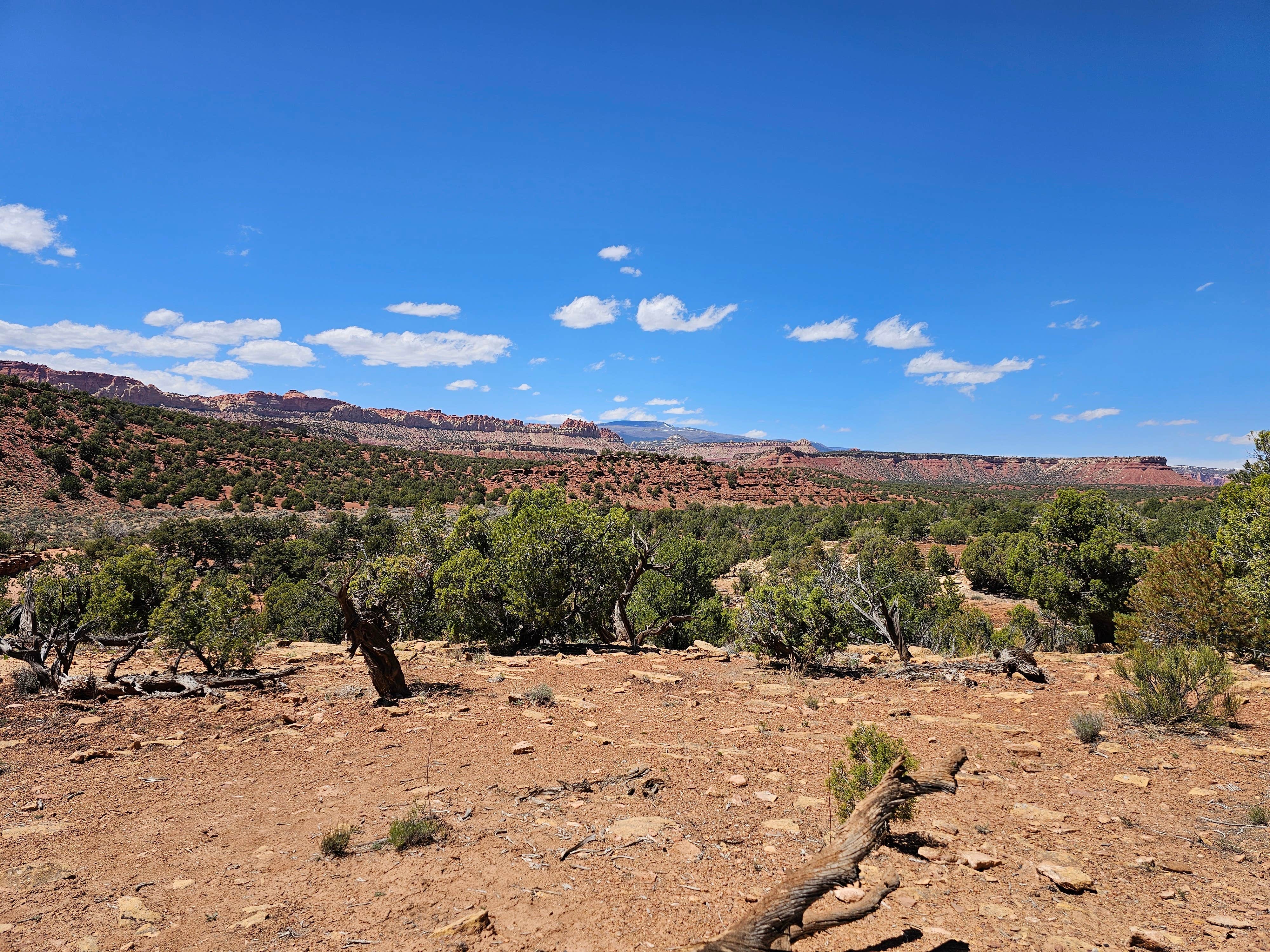 Camper-submitted photo at Horse Canyon Camping near Torrey, UT
