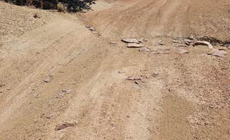 Barbara L.'s photo of camping with pets at Horse Canyon Camping near Capitol Reef National Park