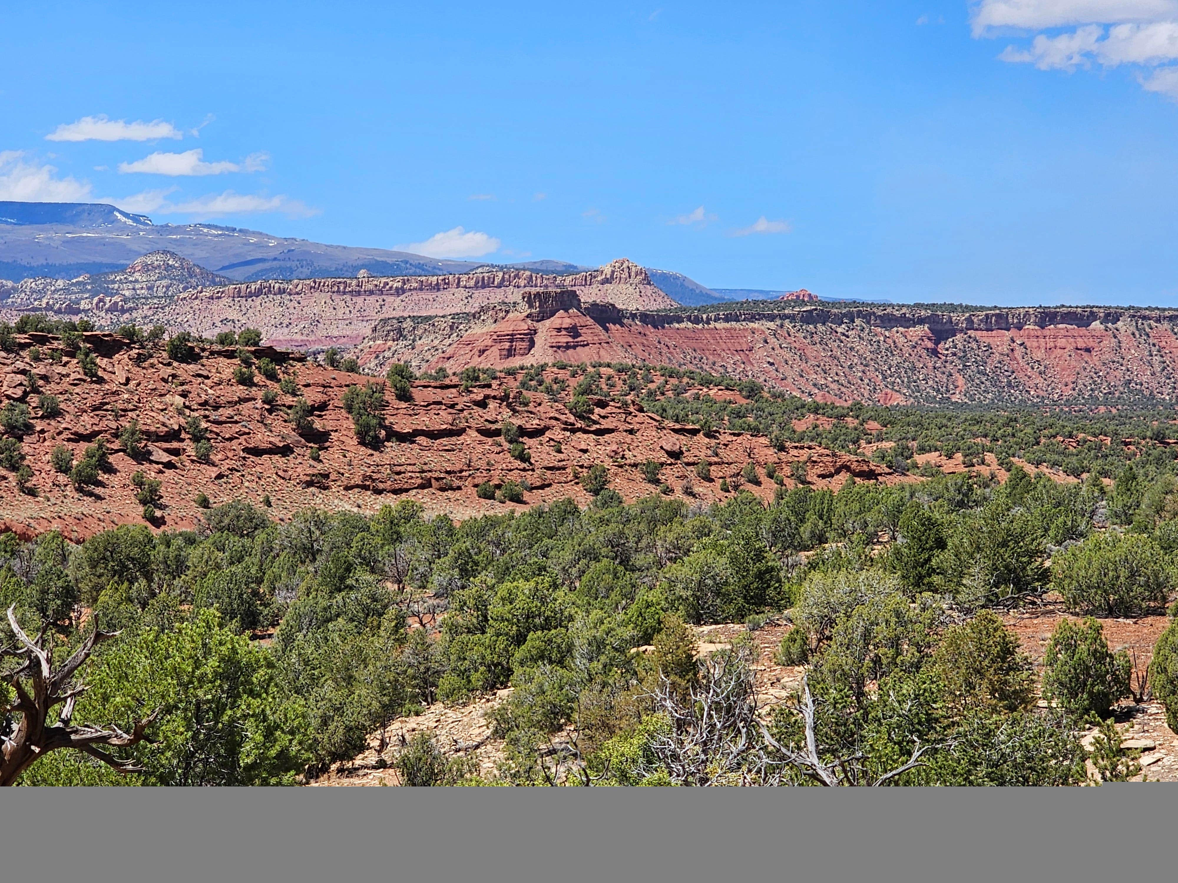 Camping near Homestead Overlook Cua Dispersed: Horse Canyon Camping, Boulder, Utah