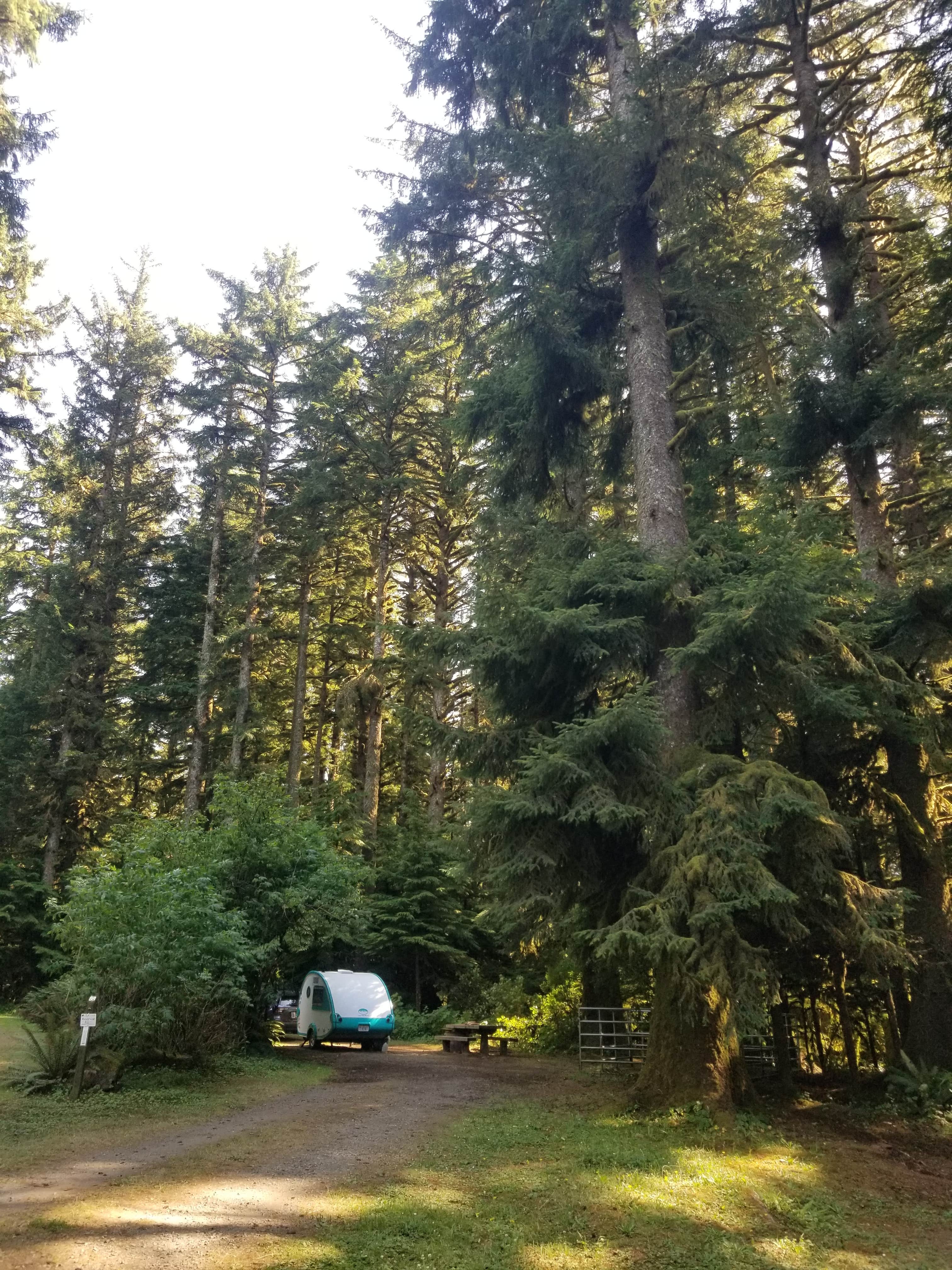 Jude C.'s photo at Horse Creek Campground — Siuslaw National Forest near Mapleton, OR