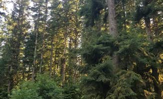 Jude C.'s photo at Horse Creek Campground — Siuslaw National Forest near Mapleton, OR