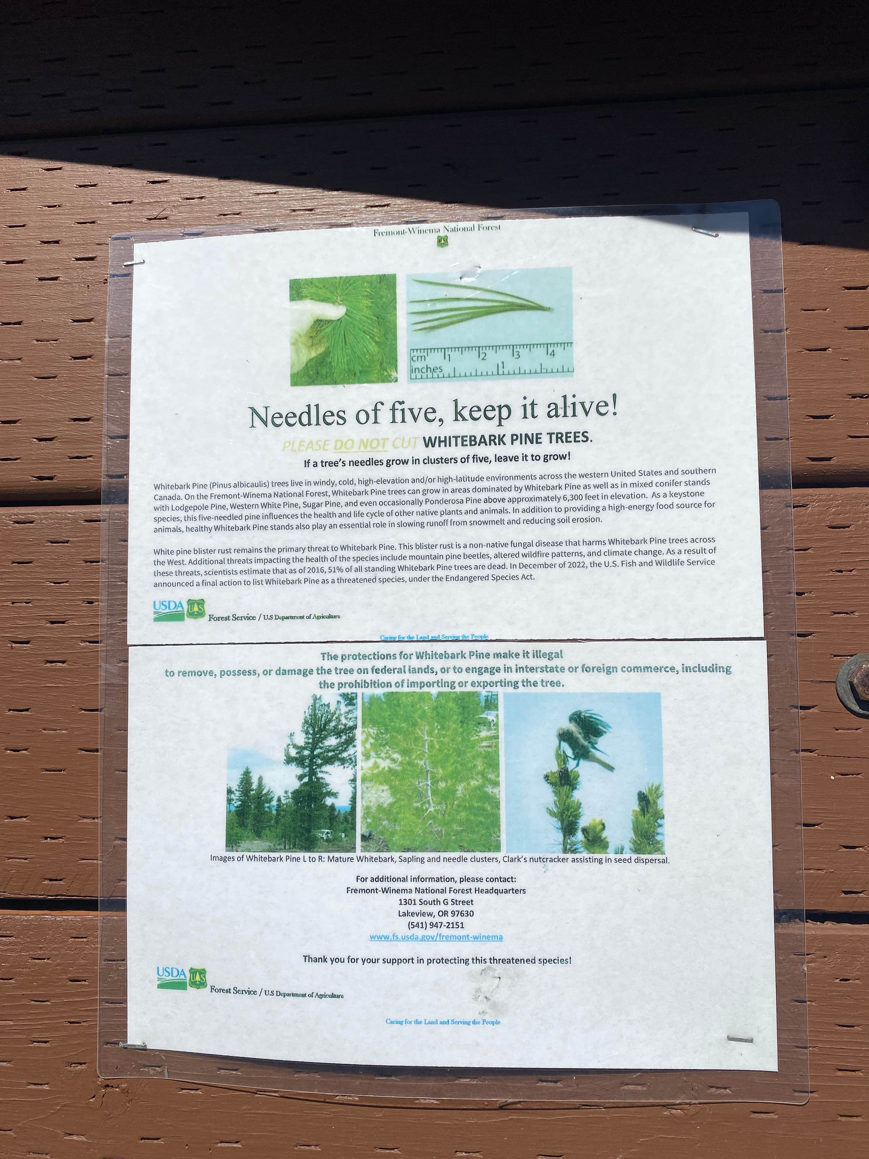 Camping near Gerber Recreation Area Camping: Horseglade Trailhead Campground, Beatty, Oregon