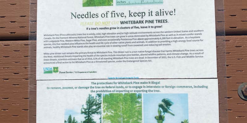 Camper submitted image from Horseglade Trailhead Campground