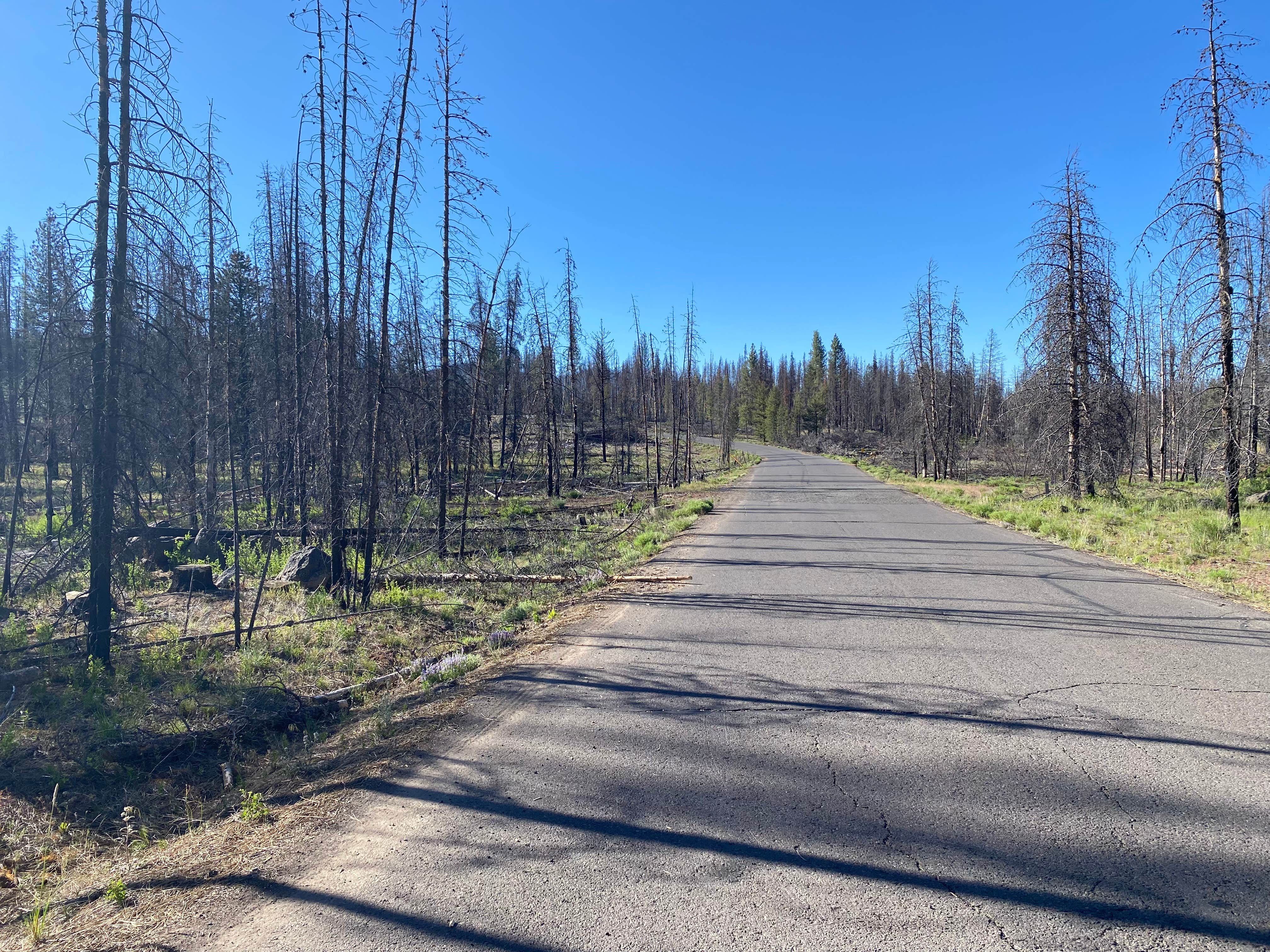 Camper-submitted photo at Horseglade Trailhead Campground near Summer Lake, OR