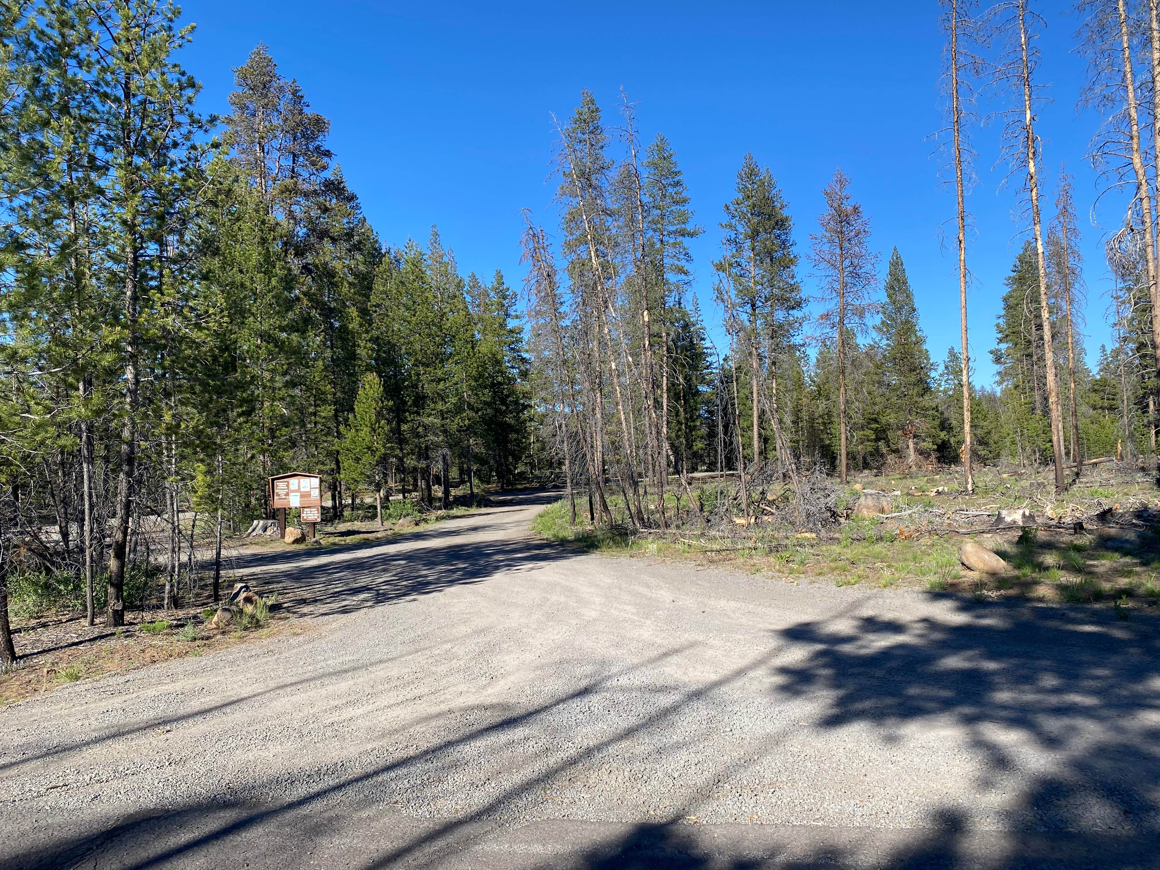 Camper-submitted photo at Horseglade Trailhead Campground near Summer Lake, OR