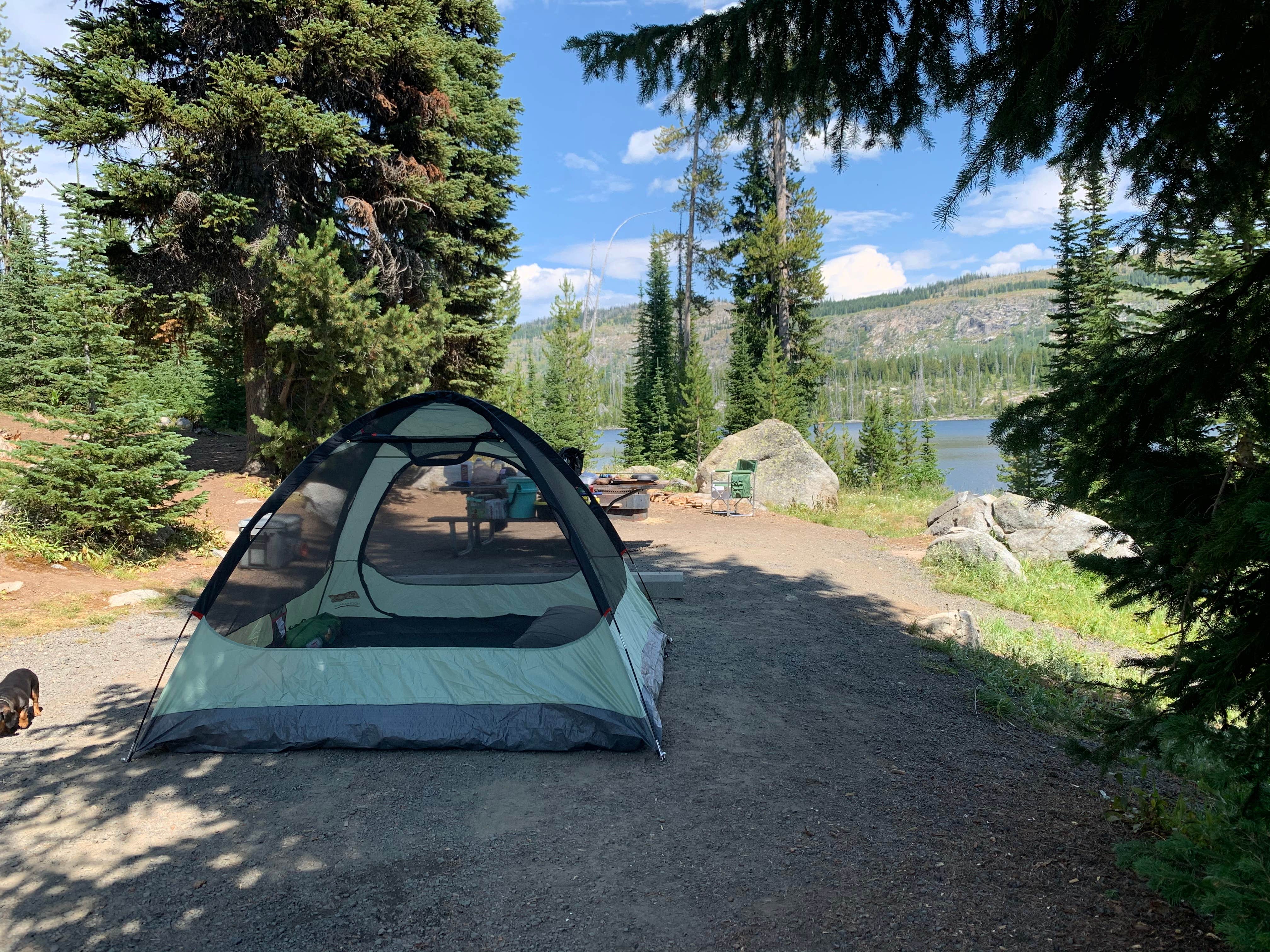 Cable A.'s photo of camping with pets at Horse Thief Campground near Salmon-Challis National Forest