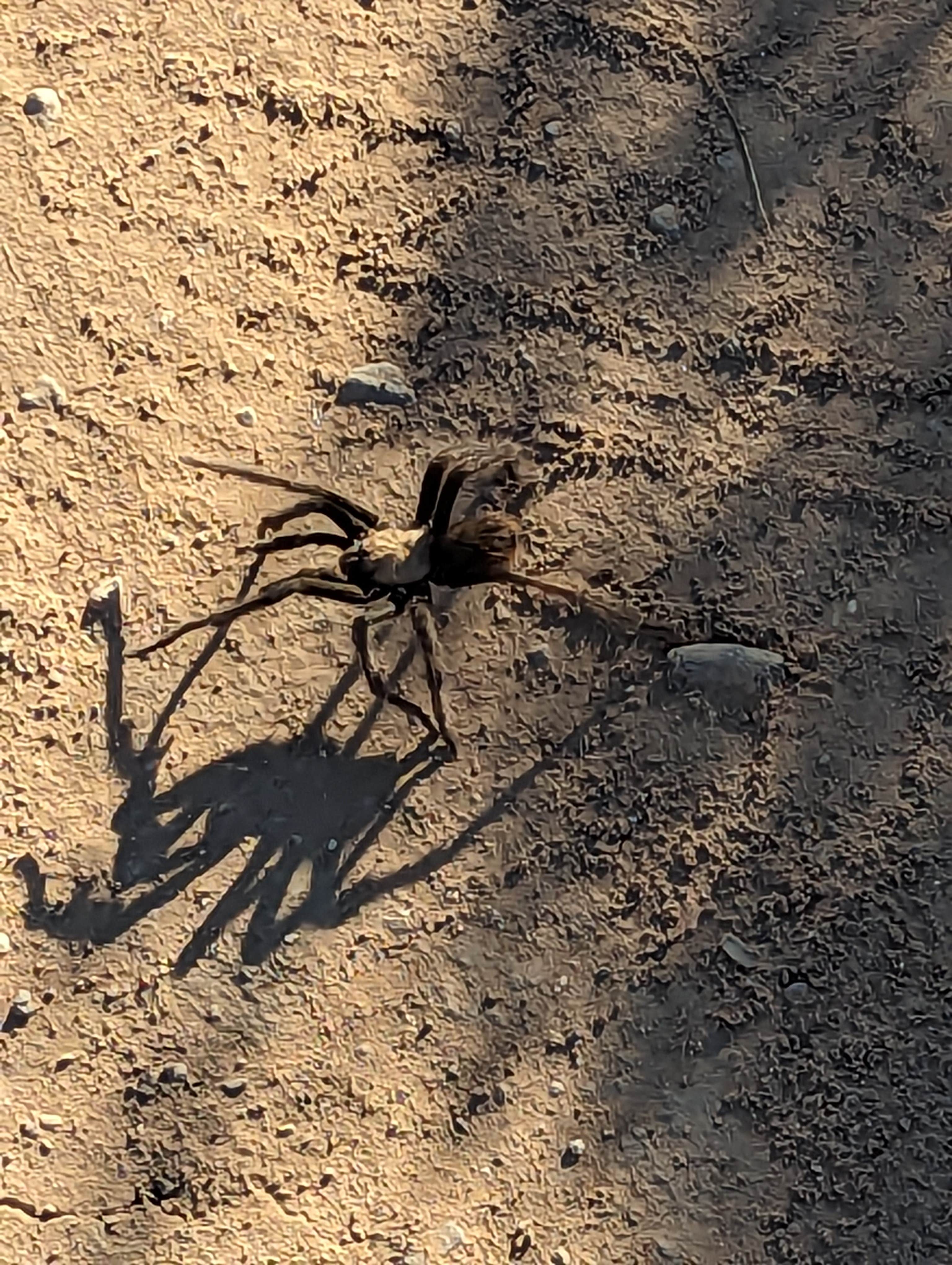 Camper-submitted photo at Horseman Park Road near Central, UT