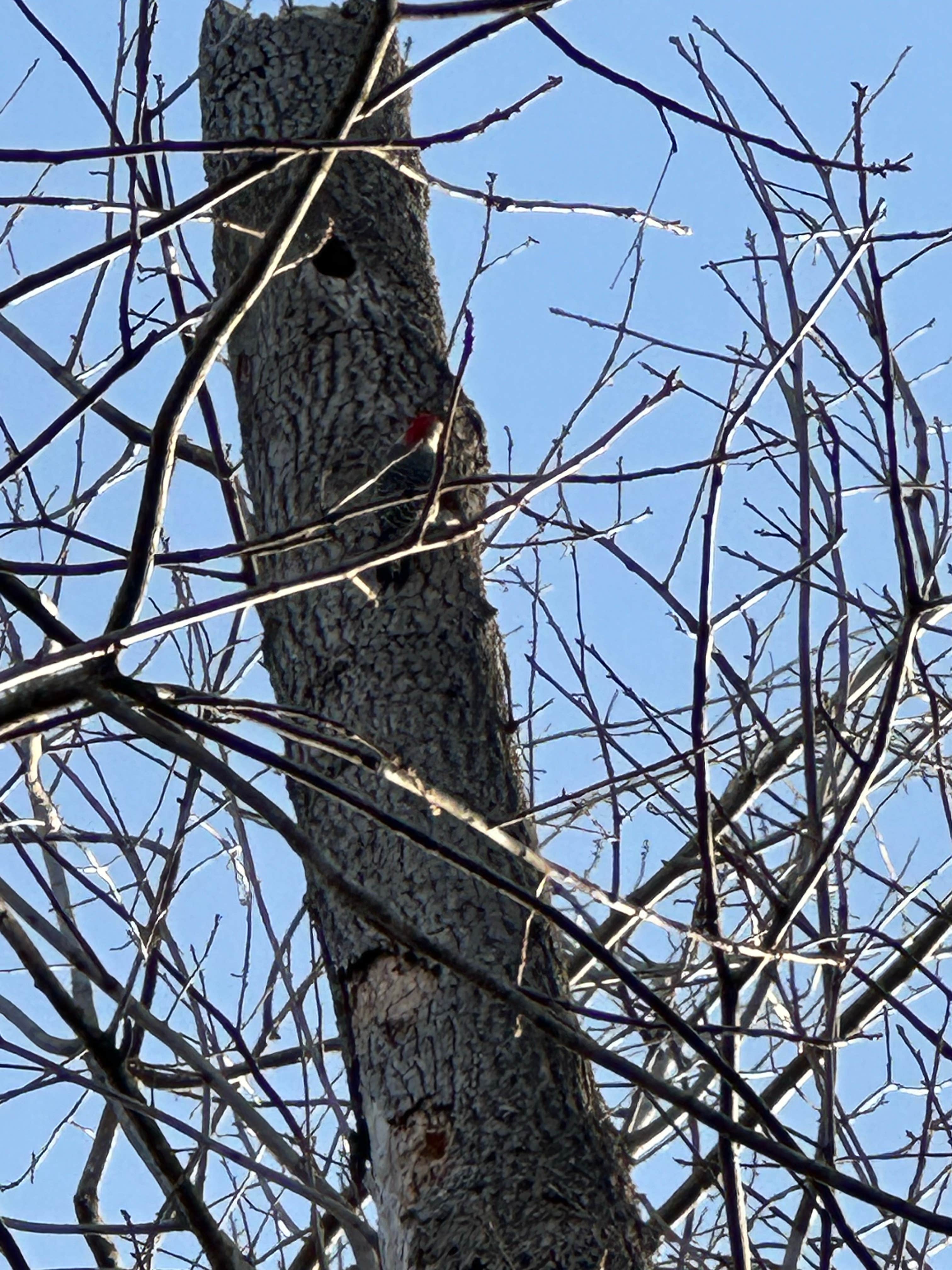 Camper-submitted photo at Horseshoe Bend Primitive Public Use Area near Park Hill, OK