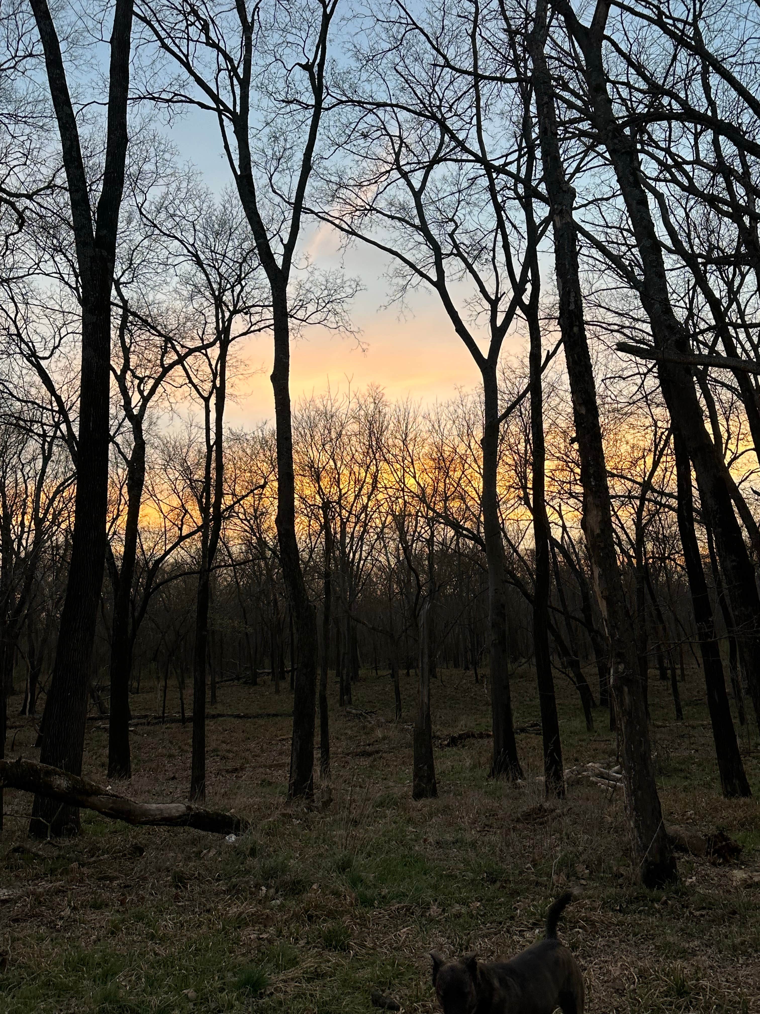 Camper-submitted photo at Horseshoe Bend Primitive Public Use Area near Park Hill, OK