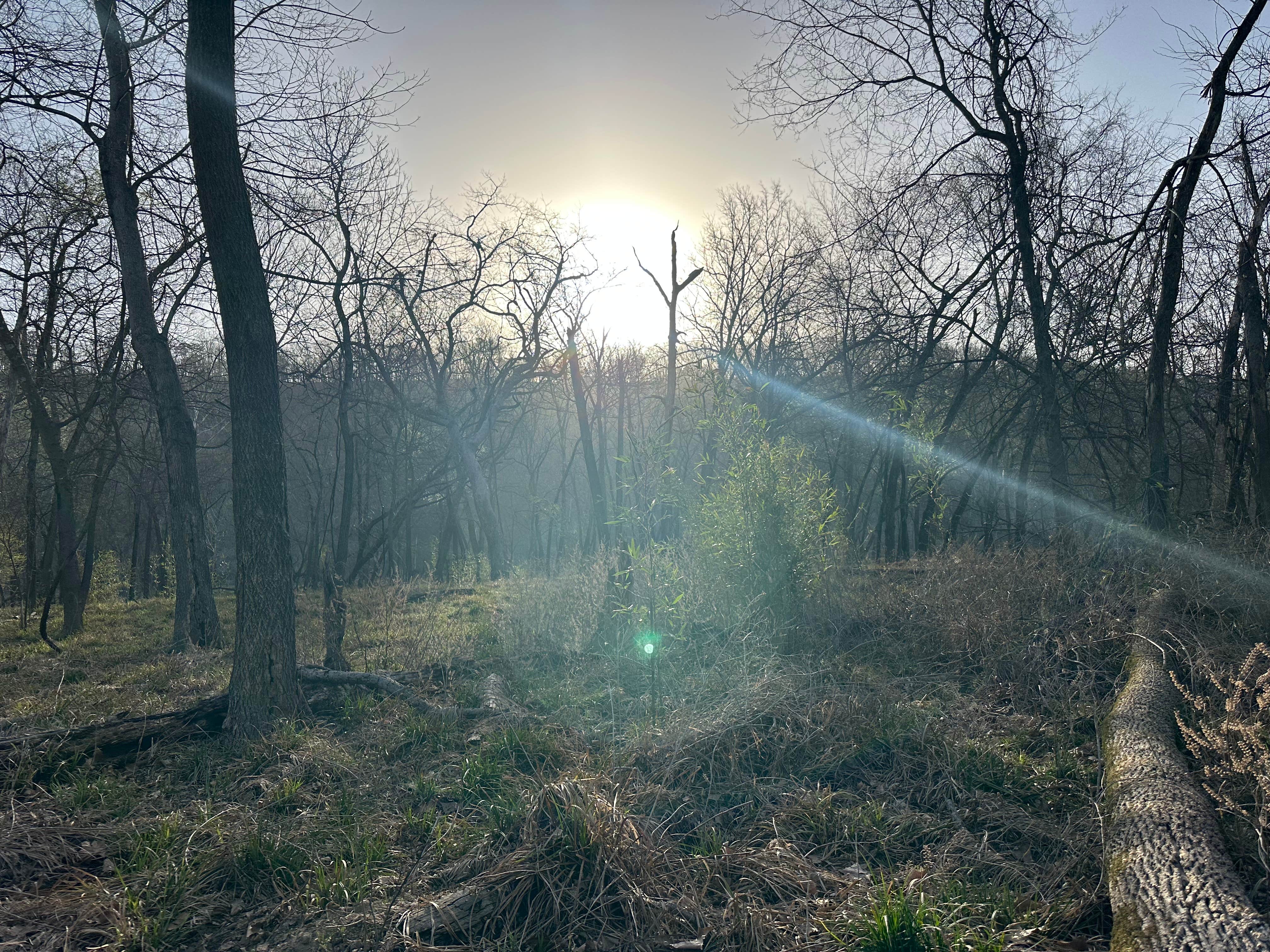 Camper-submitted photo at Horseshoe Bend Primitive Public Use Area near Park Hill, OK