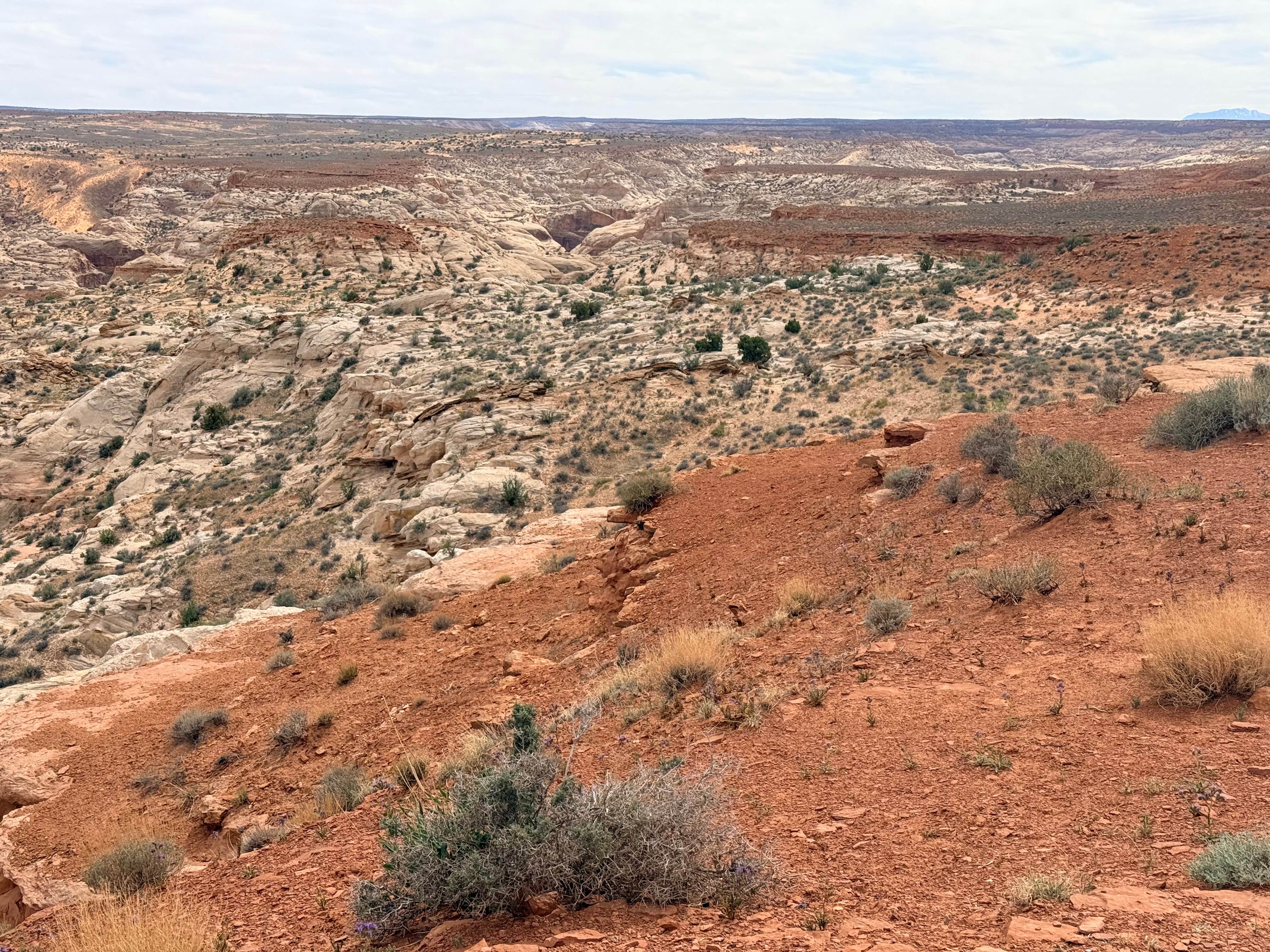 Camping near Potato Bottom Campground — Canyonlands National Park: Horseshoe Canyon, Hanksville, Utah