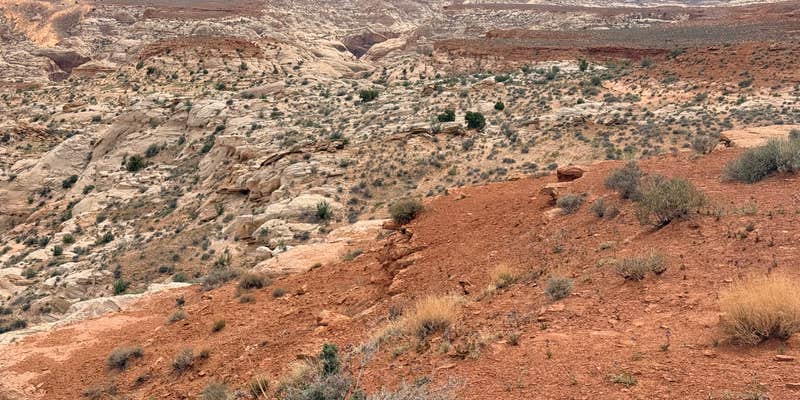 Camper submitted image from Horseshoe Canyon