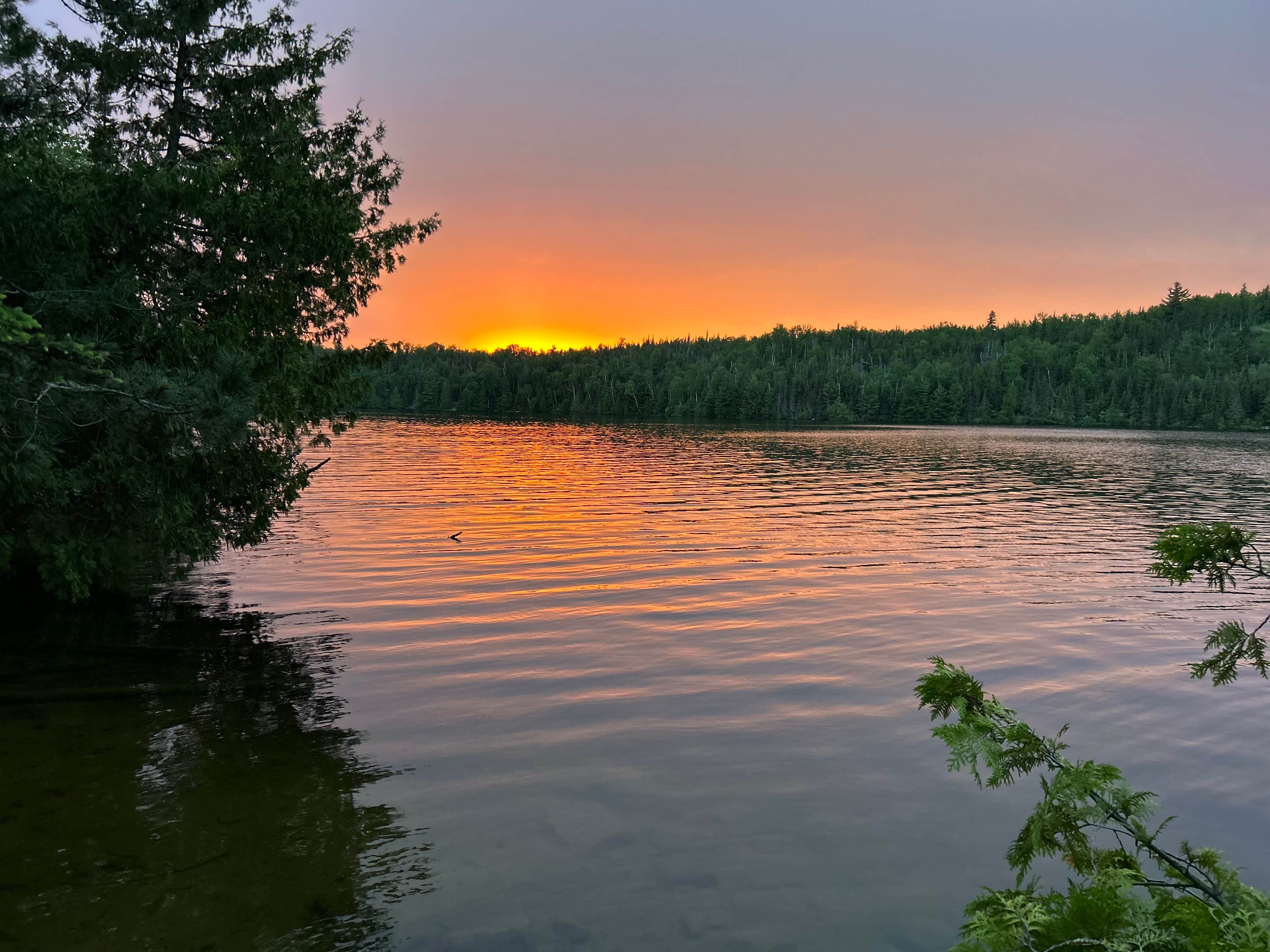 Camper submitted image from Horseshoe Island - 2