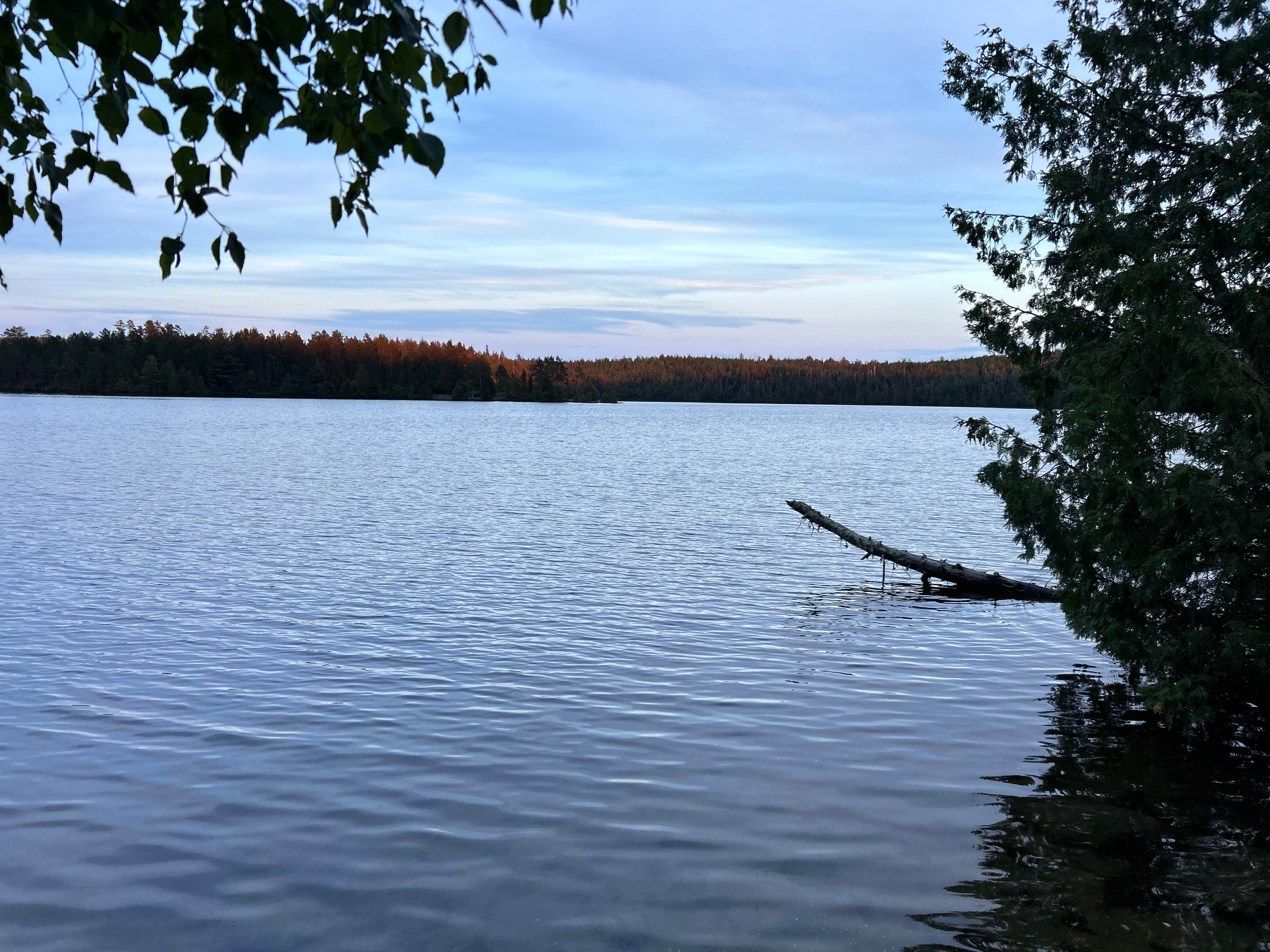 Camper submitted image from Horseshoe Island - 3