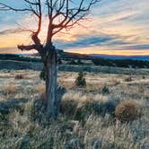 Review photo of Horseshoe Knoll - Dispersed Camping by Ty W., March 23, 2026