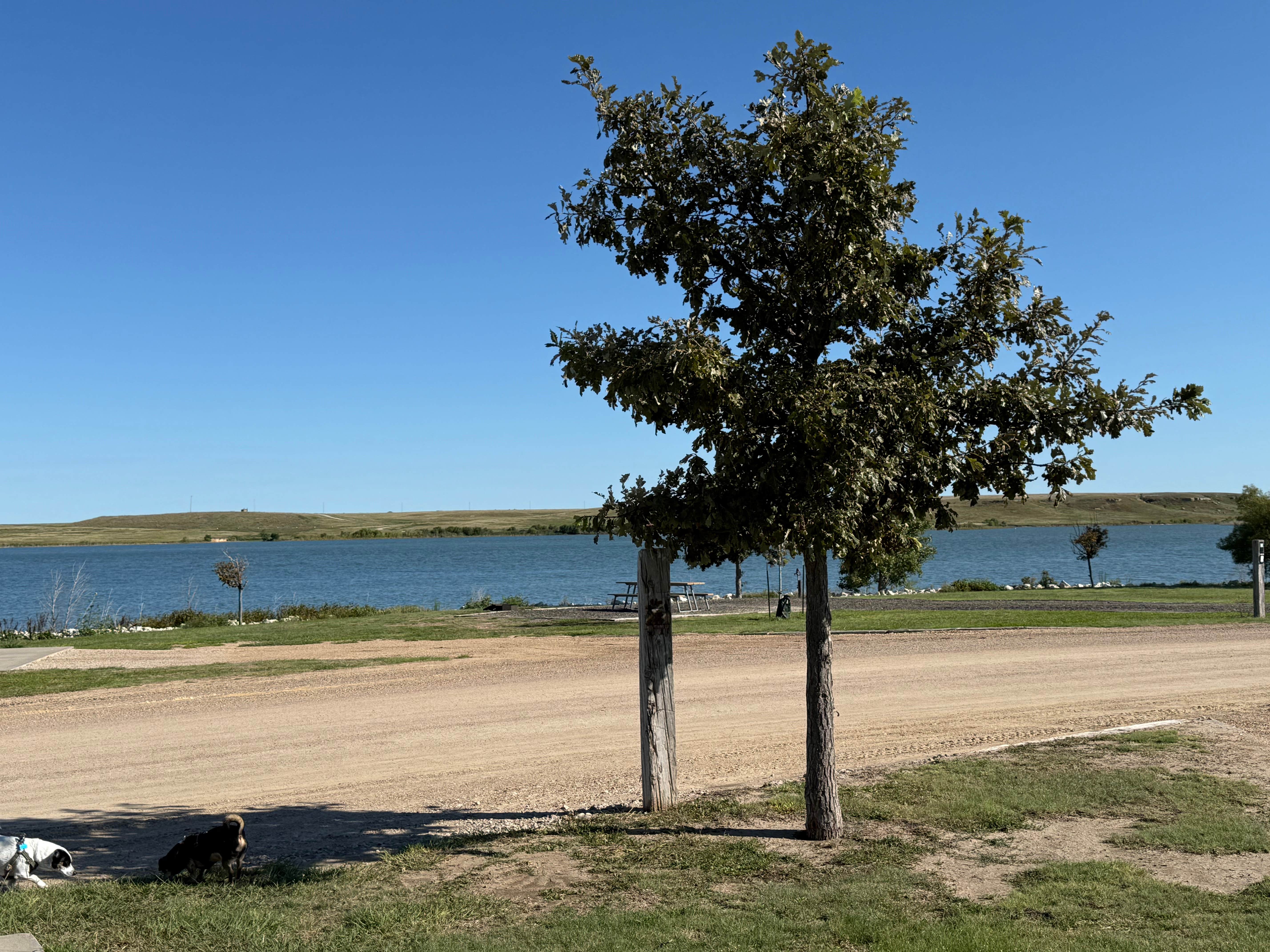 Shawn's photo of camping with pets at Horse Thief Reservoir near Garden City, KS