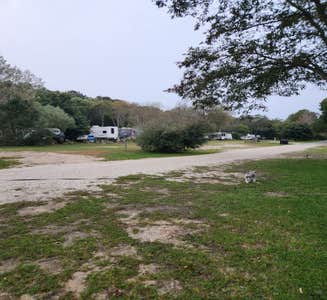 Camper-submitted photo from Adventure Bound Cape Cod: Horton's Campground