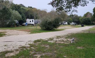 LL J.'s photo of camping with pets at Adventure Bound Cape Cod: Horton's Campground in Massachusetts