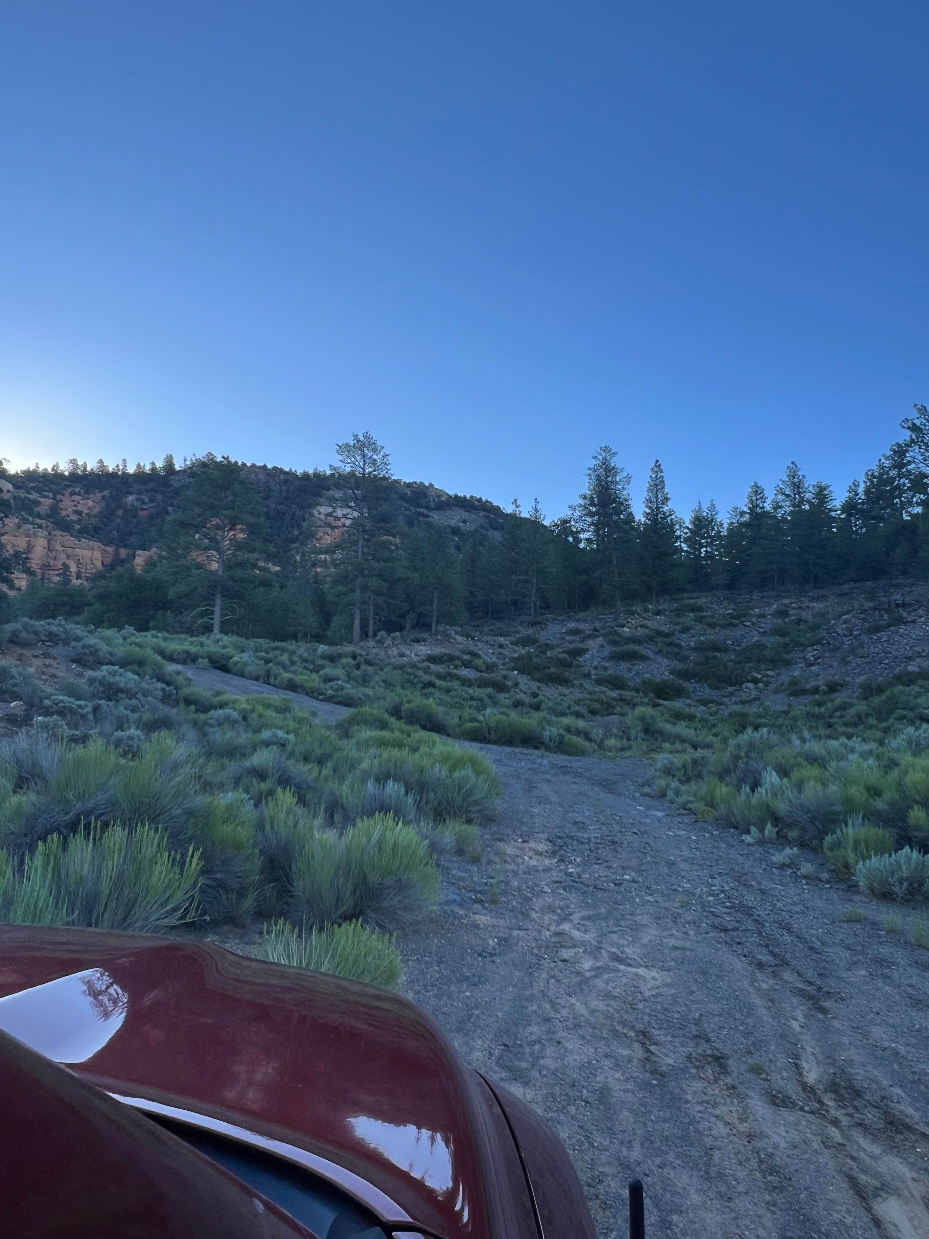 Camper submitted image from Hoss Hideout Dispersed Site on Losee Canyon - 2