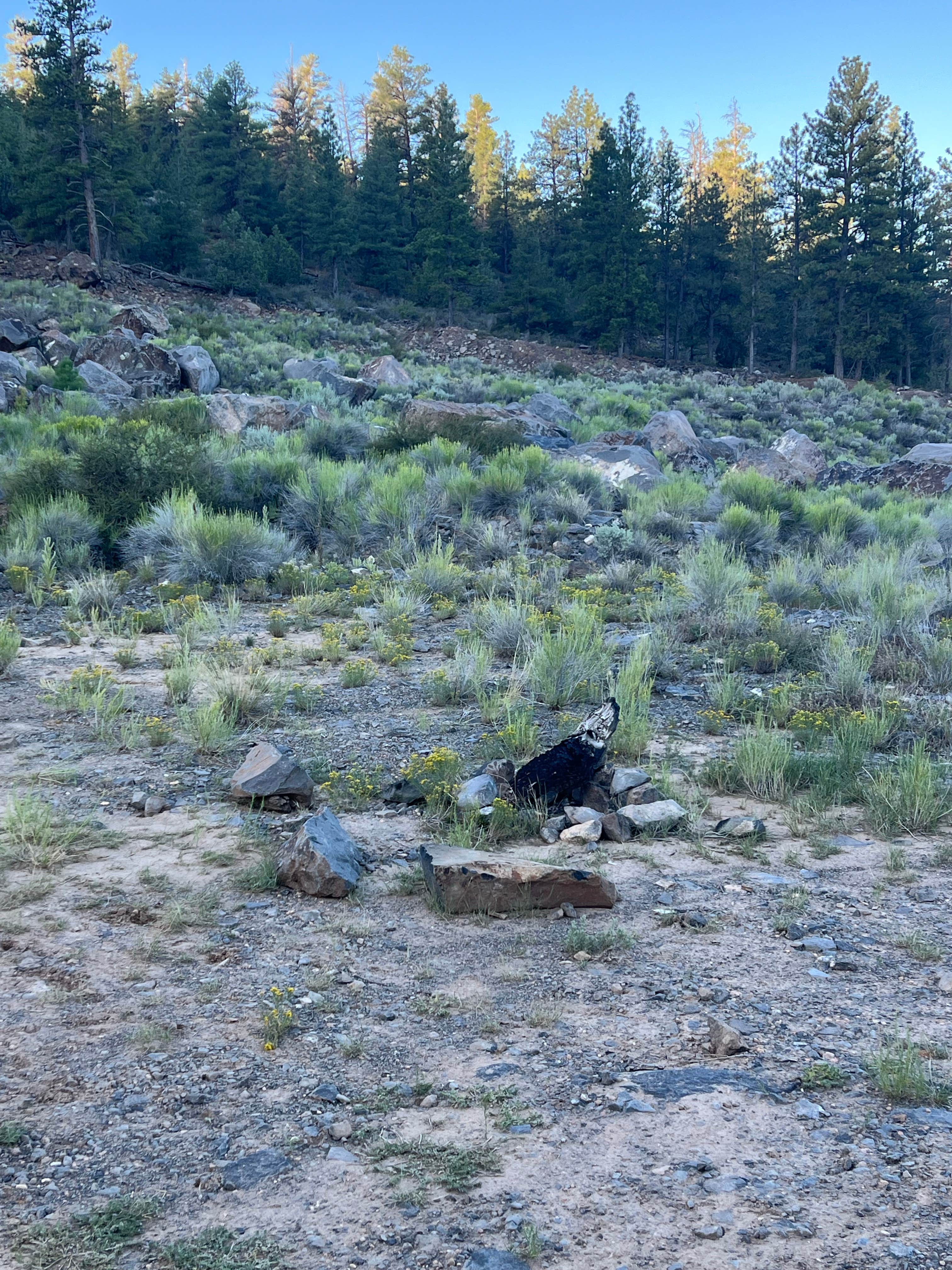 Camper submitted image from Hoss Hideout Dispersed Site on Losee Canyon - 3