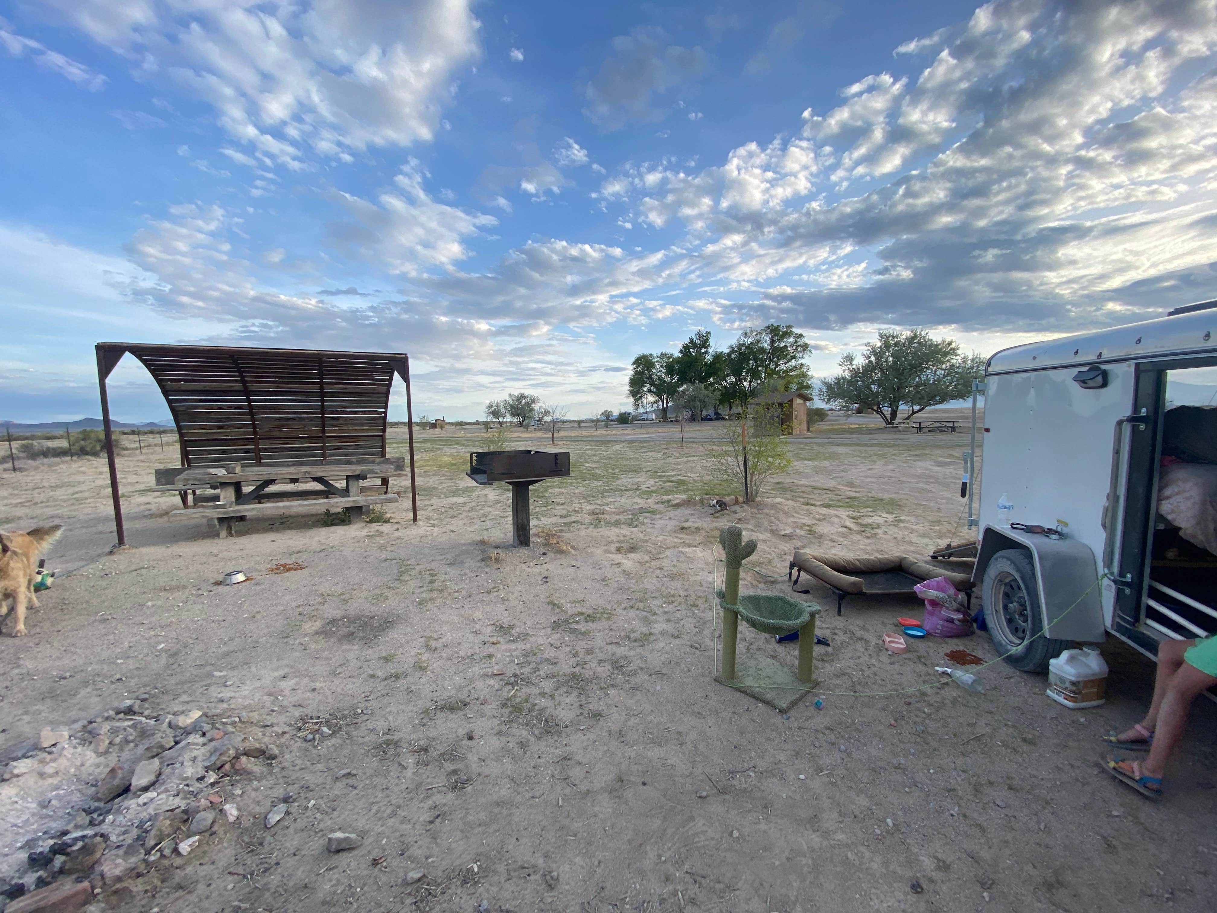 Imerie T.'s photo of camping with pets at Hot Creek Campground near Pioche, NV