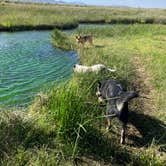 Review photo of Dave Deacon Campground - Wayne E Kirch Wildlife Management Area by Emily S., June 21, 2024