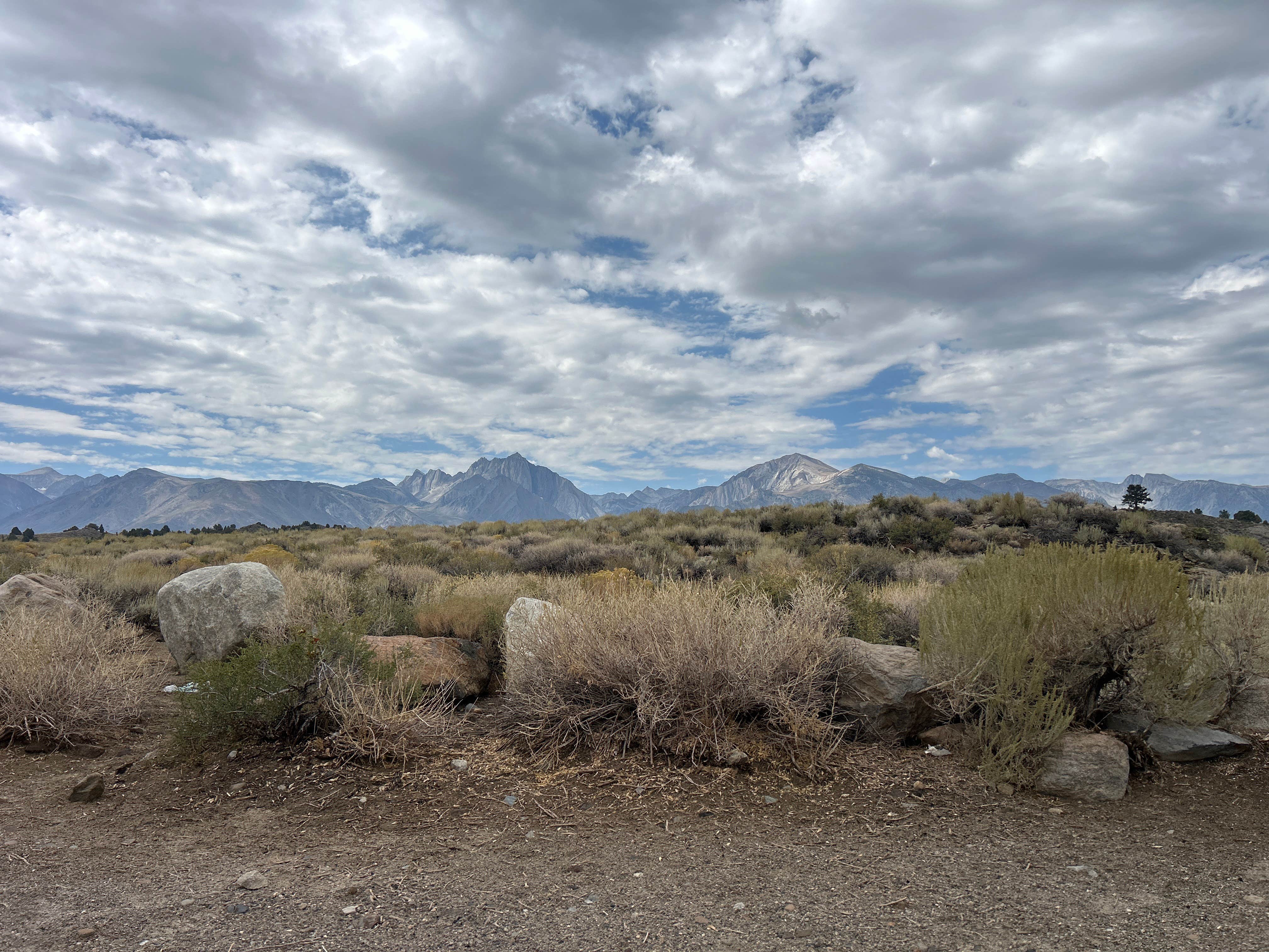 Camper submitted image from Hot Creek Dispersed - 1