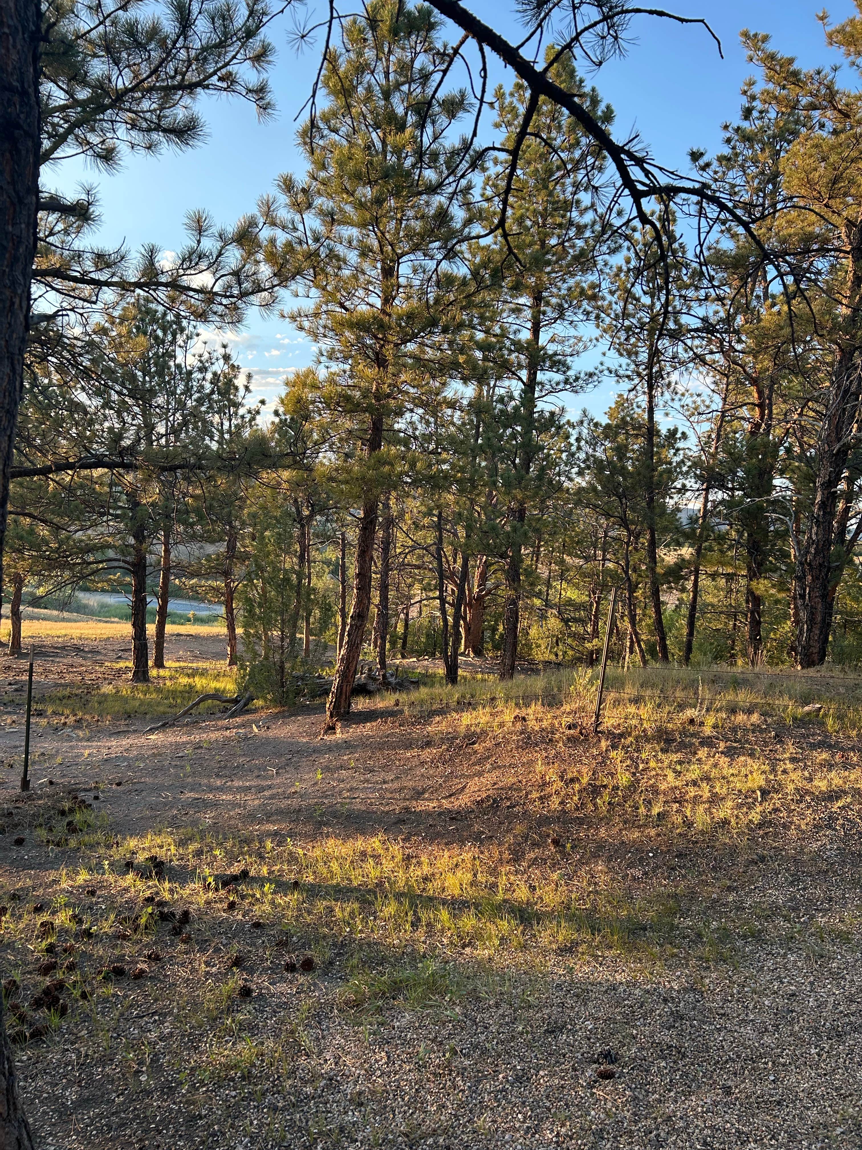 Hot Springs / Black Hills KOA