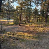 Review photo of Hot Springs / Black Hills KOA by Andrew H., August 20, 2026