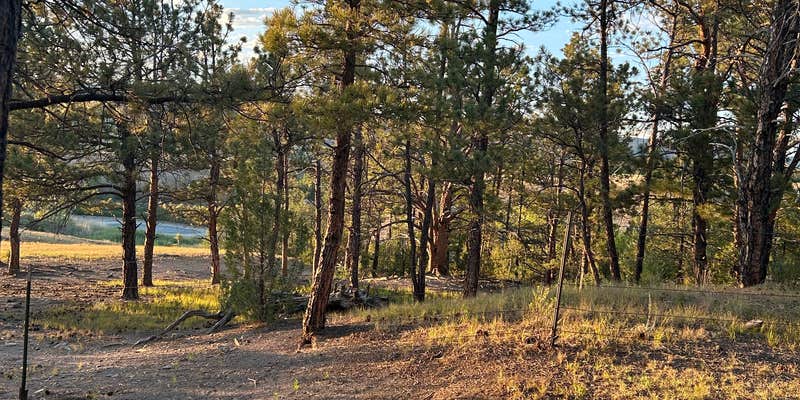 Camper submitted image from Hot Springs / Black Hills KOA