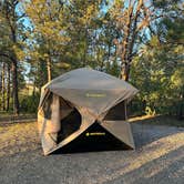 Review photo of Hot Springs / Black Hills KOA by Andrew H., August 20, 2026
