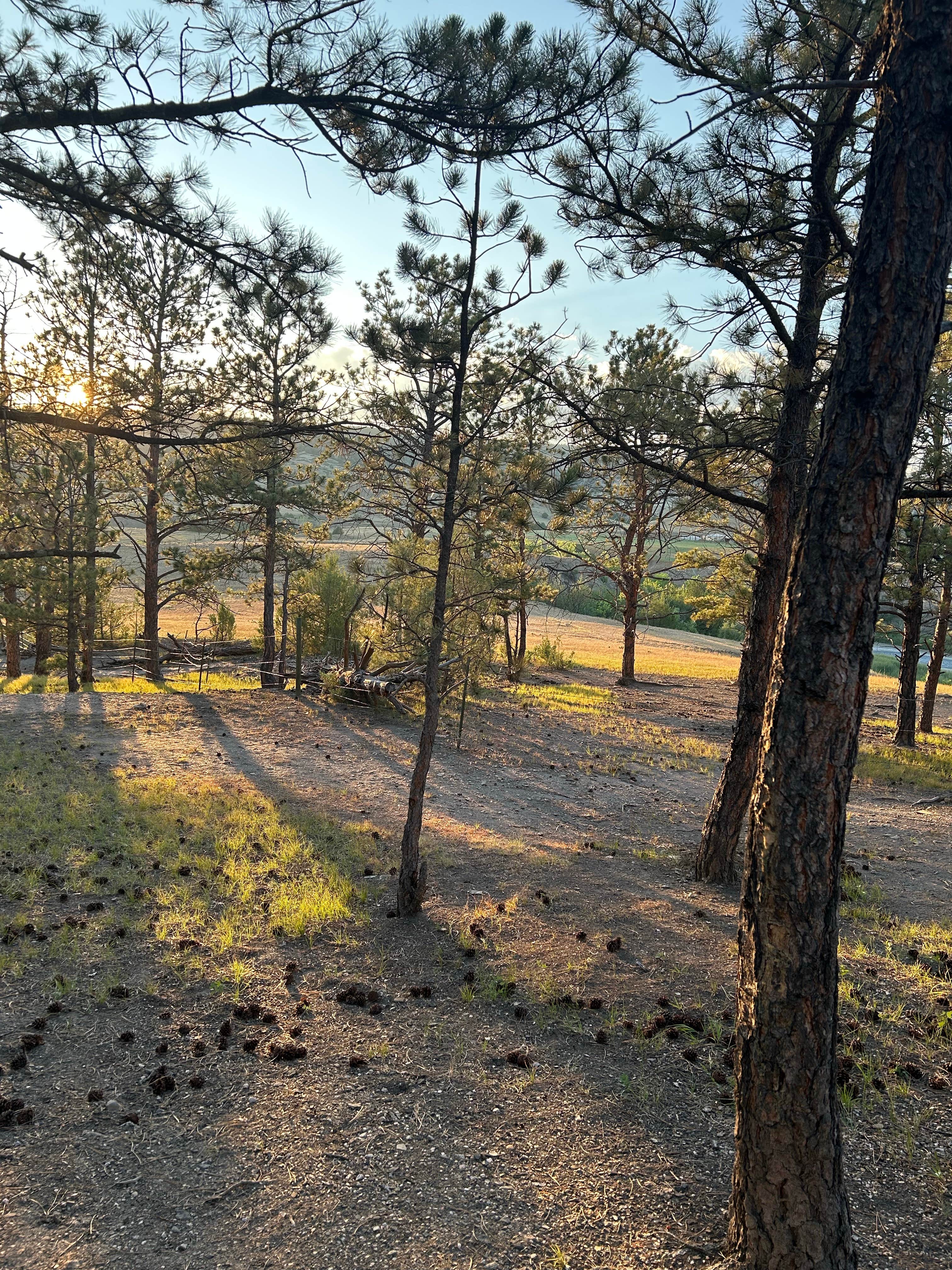 Camper-submitted photo at Hot Springs / Black Hills KOA near Wind Cave National Park