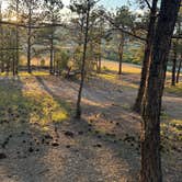 Review photo of Hot Springs / Black Hills KOA by Andrew H., August 20, 2026