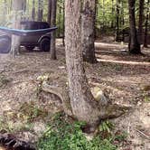 Review photo of Hot Springs Offroad Park by Lindsey M., October 8, 2024