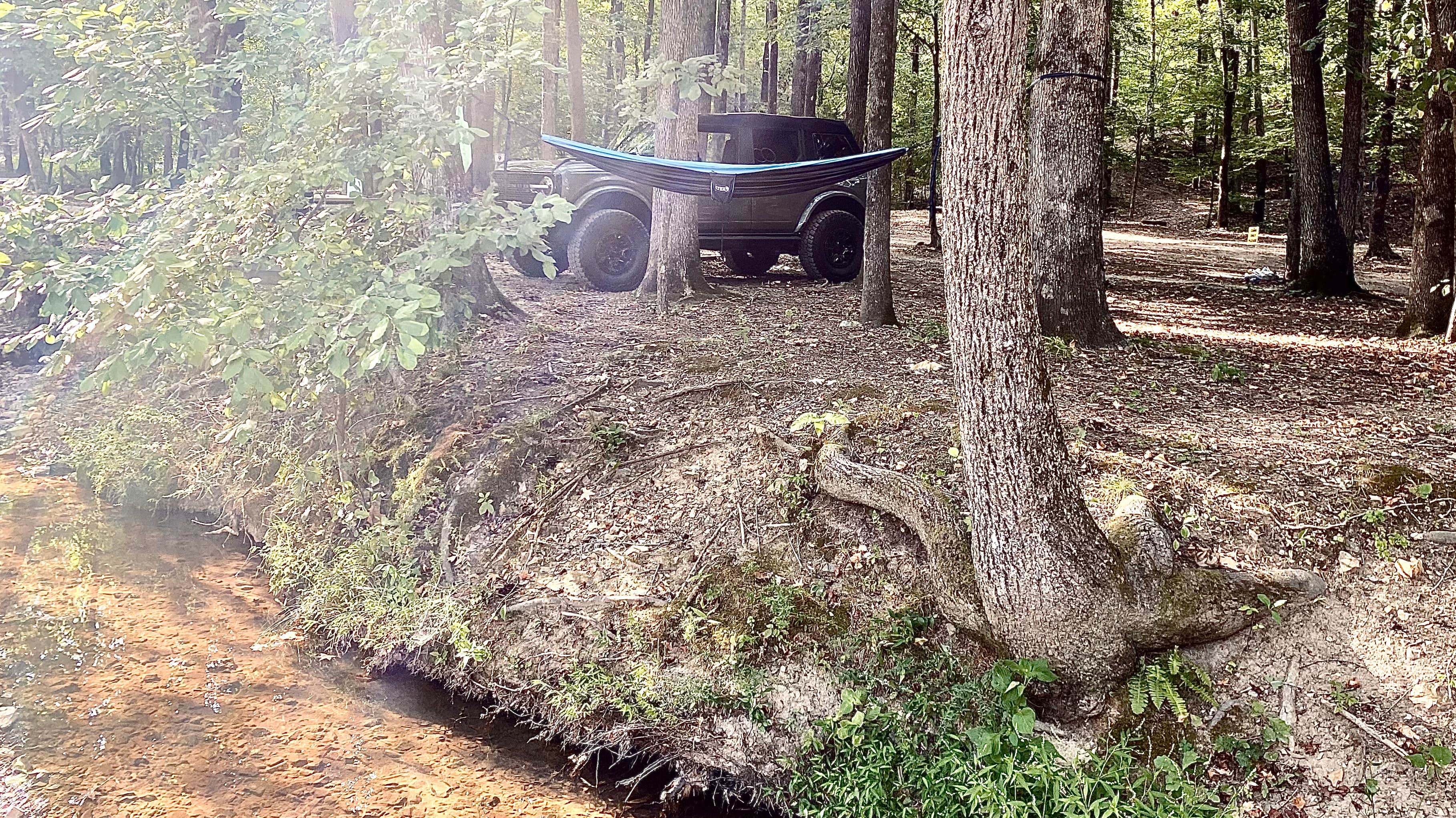 Camper submitted image from Hot Springs Offroad Park - 1