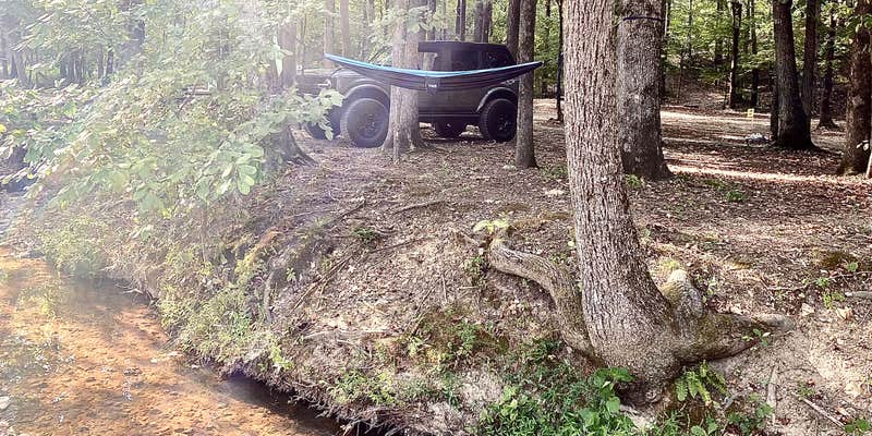 Camper submitted image from Hot Springs Offroad Park