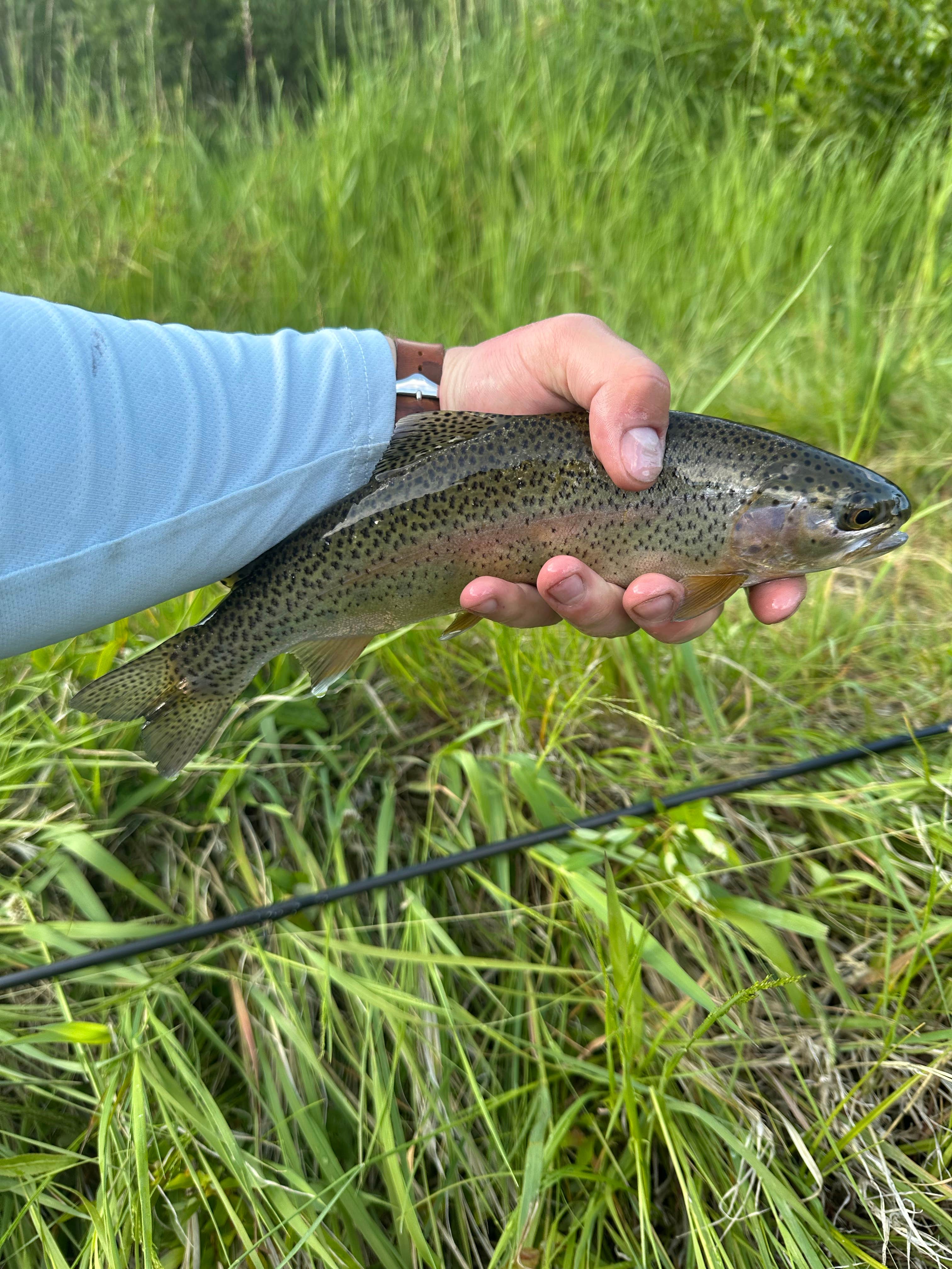 Camper-submitted photo at Hot Sulphur Springs SWA - Joe Gerrans Unit near Heeney, CO
