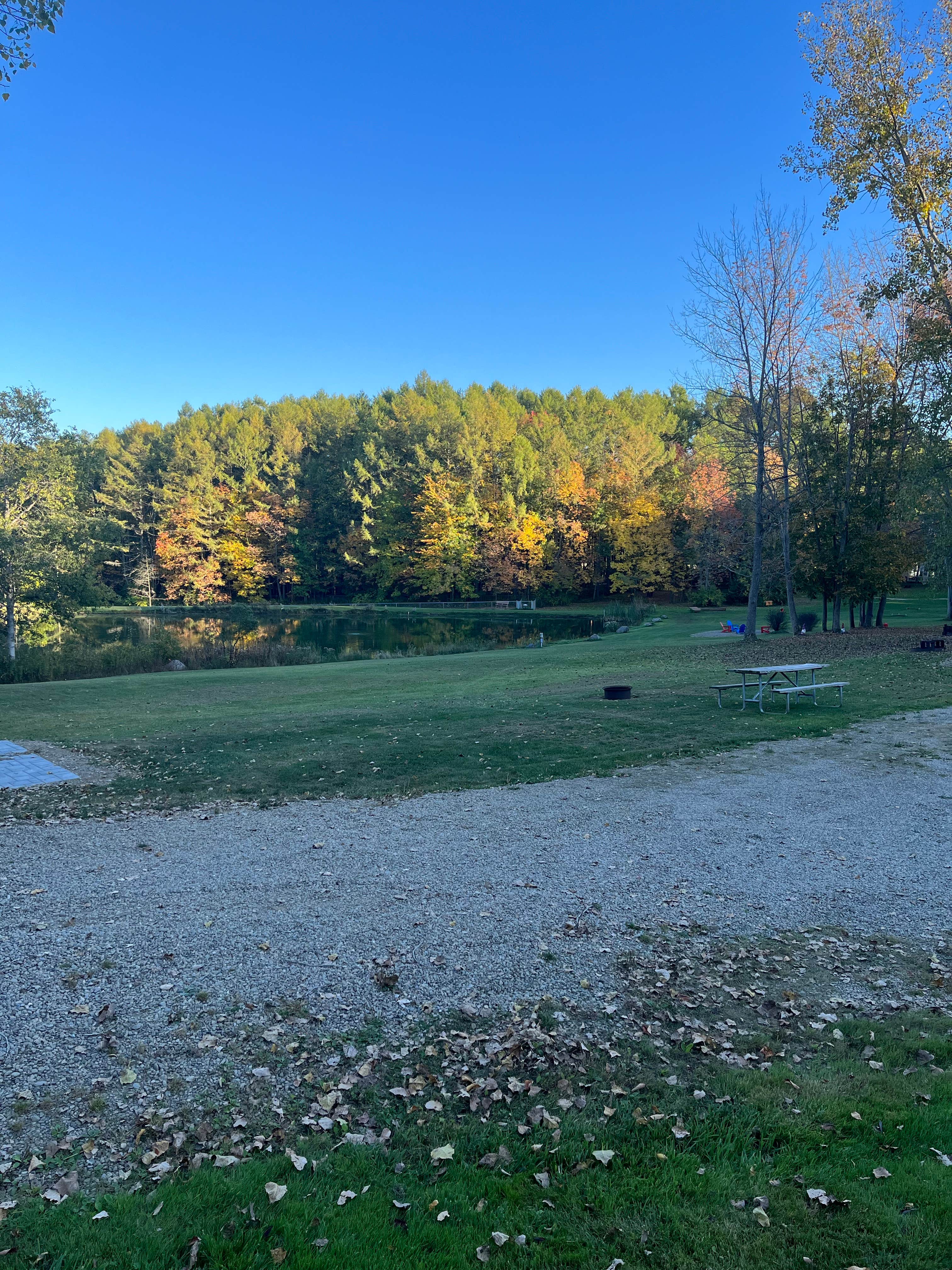 Camper submitted image from Houghton / Letchworth KOA - 2