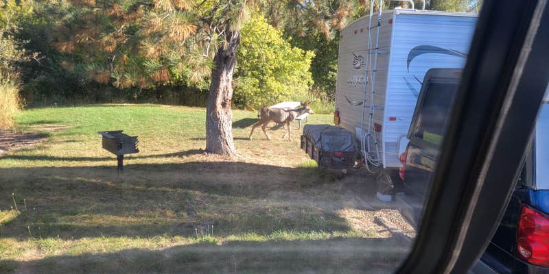 Camper submitted image from Hu - Na - Ha RV Park