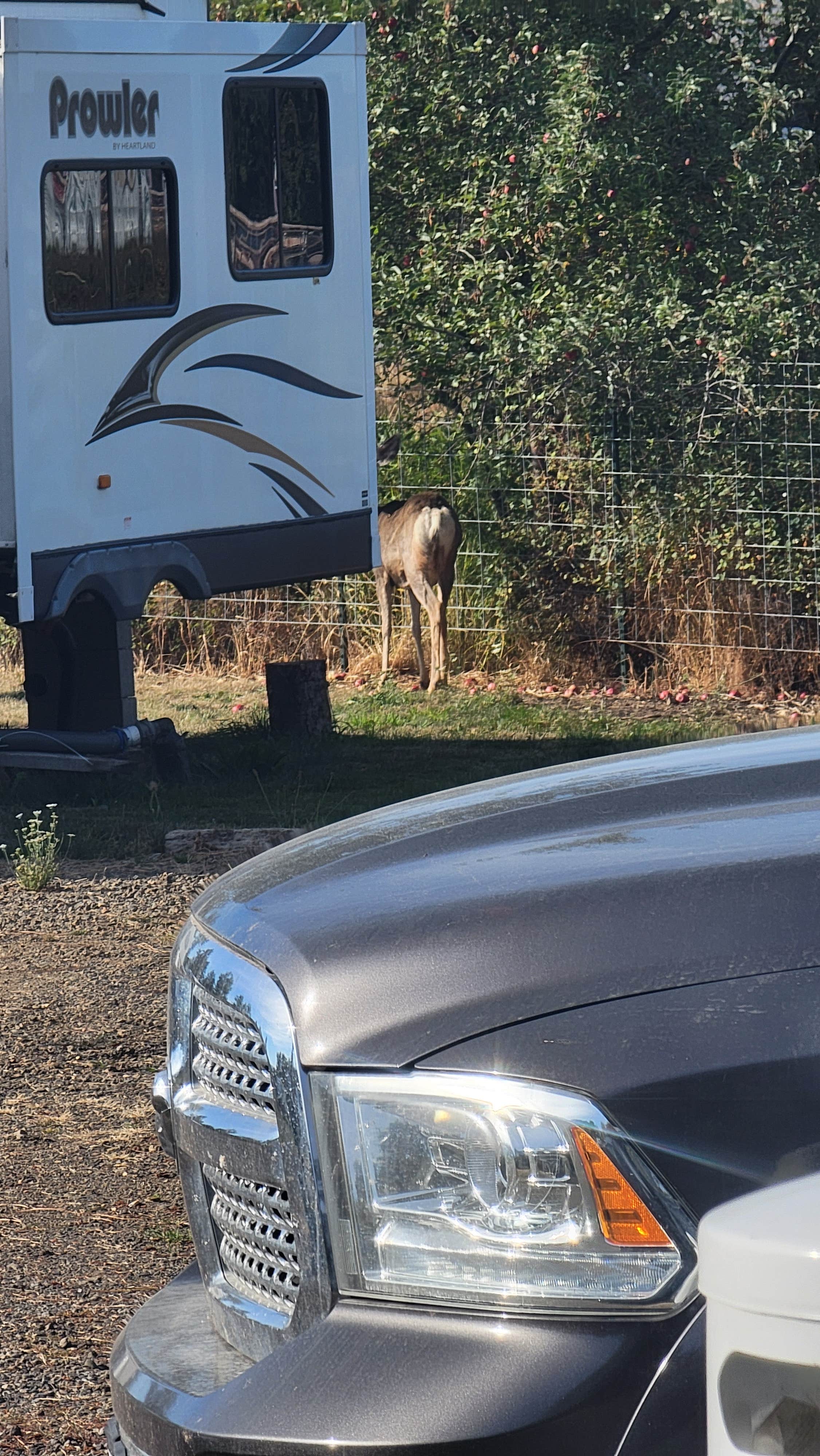 ron R.'s photo of rv camping at Hu - Na - Ha RV Park near Walla Walla, WA