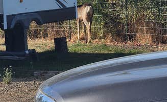 ron R.'s photo of rv camping at Hu - Na - Ha RV Park near Adams, OR