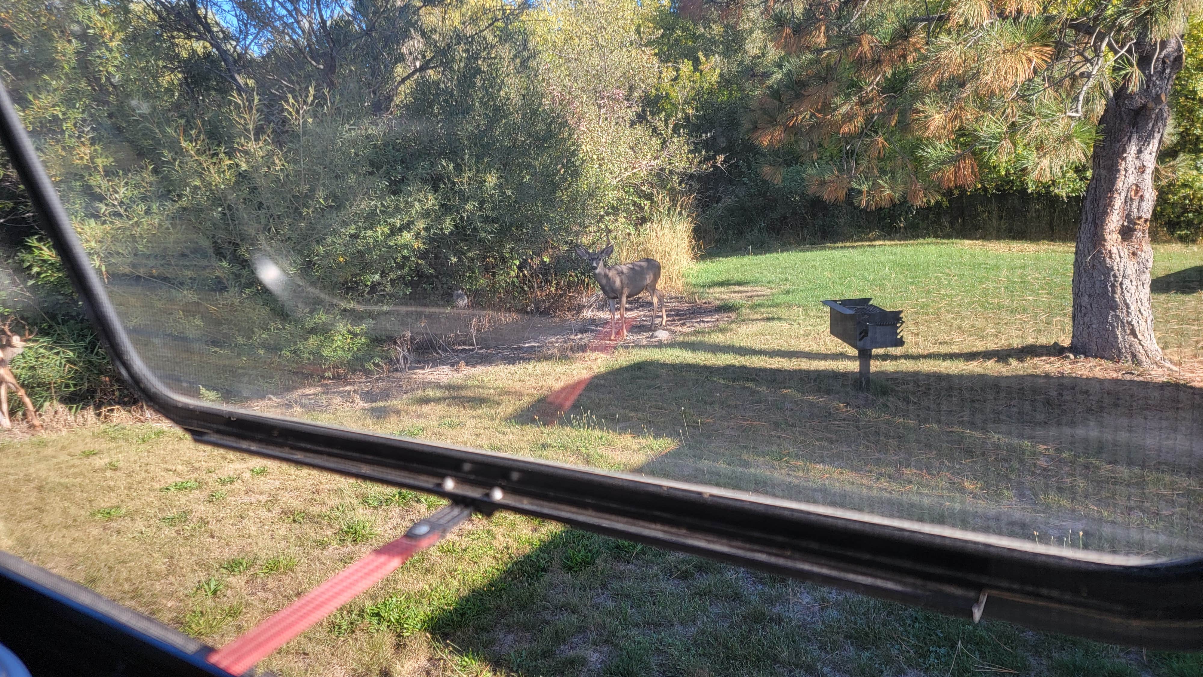 Camper-submitted photo at Hu - Na - Ha RV Park near Walla Walla, WA