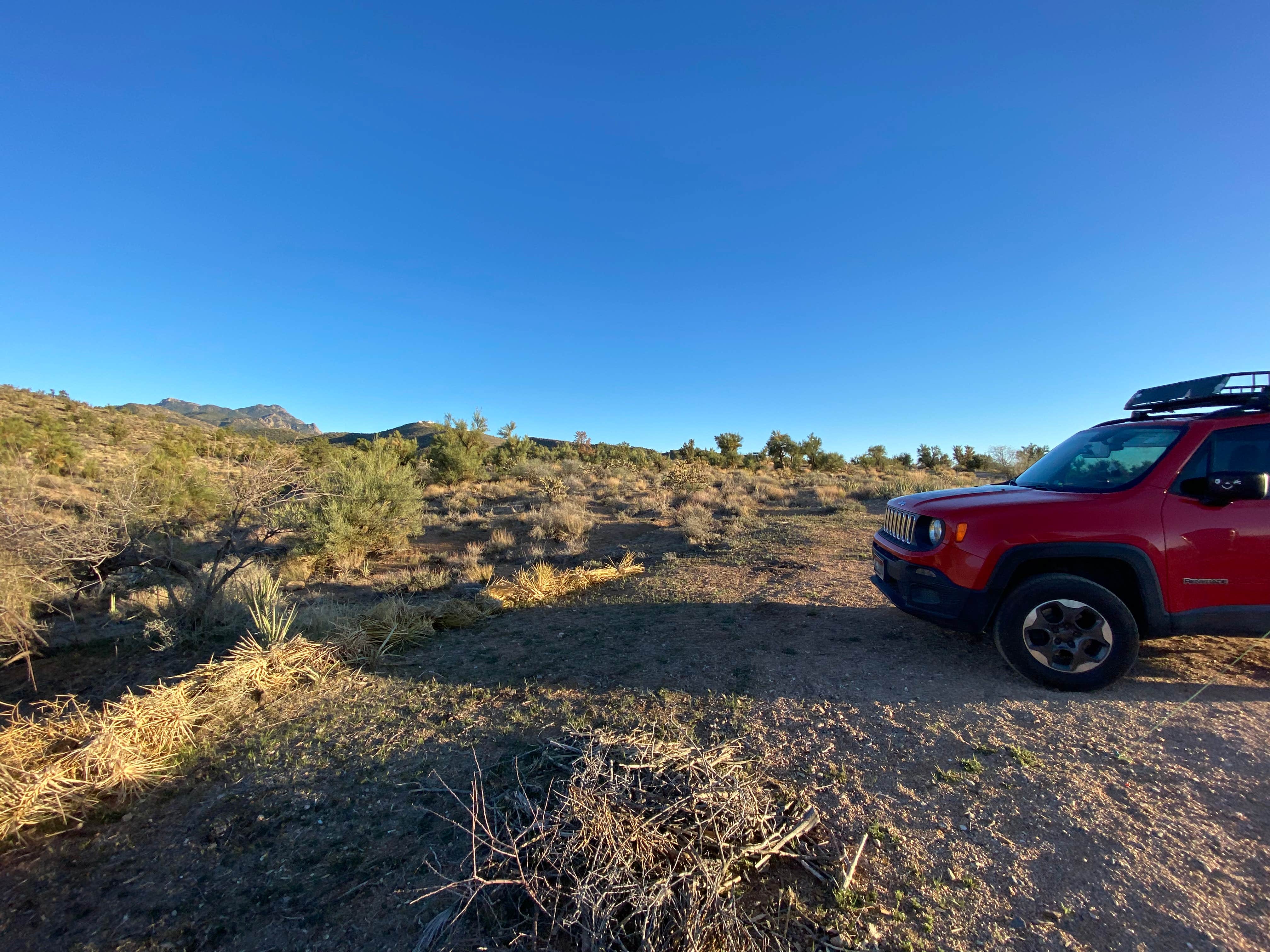 Camper-submitted photo at Hualapai Mountain Road near Kingman, AZ