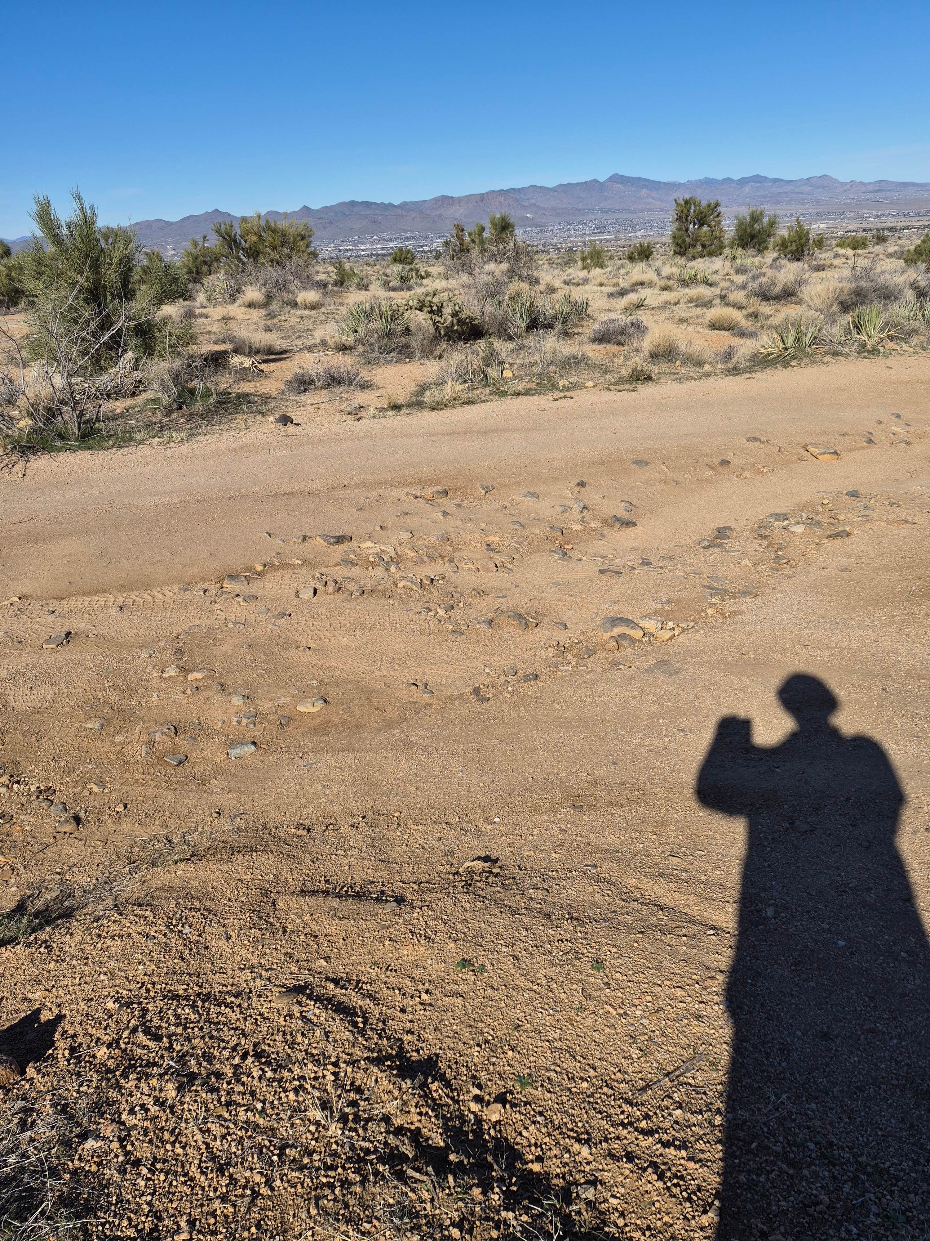 Camper-submitted photo at Hualapai Mountain Road near Kingman, AZ