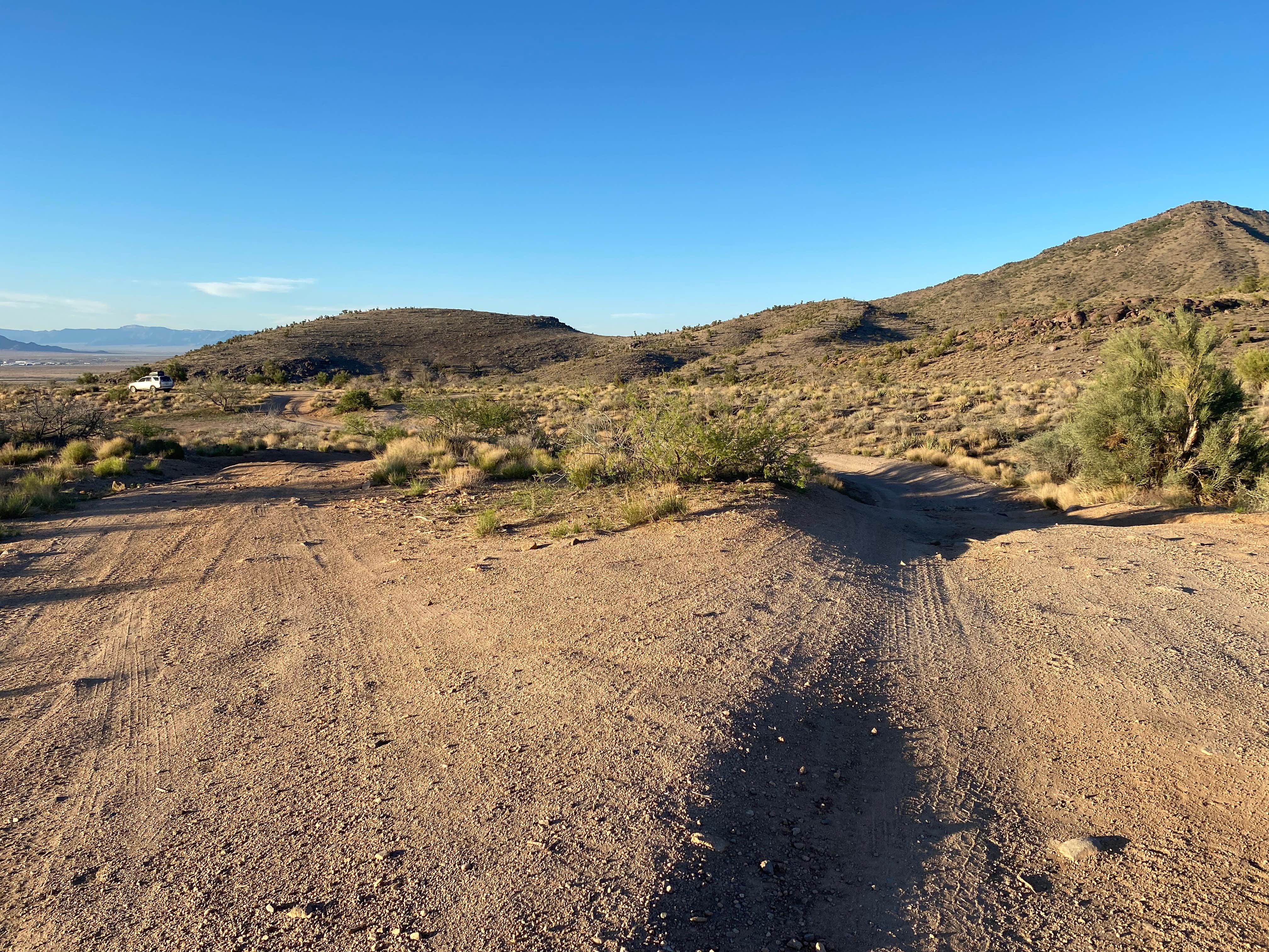 Camper-submitted photo at Hualapai Mountain Road near Kingman, AZ