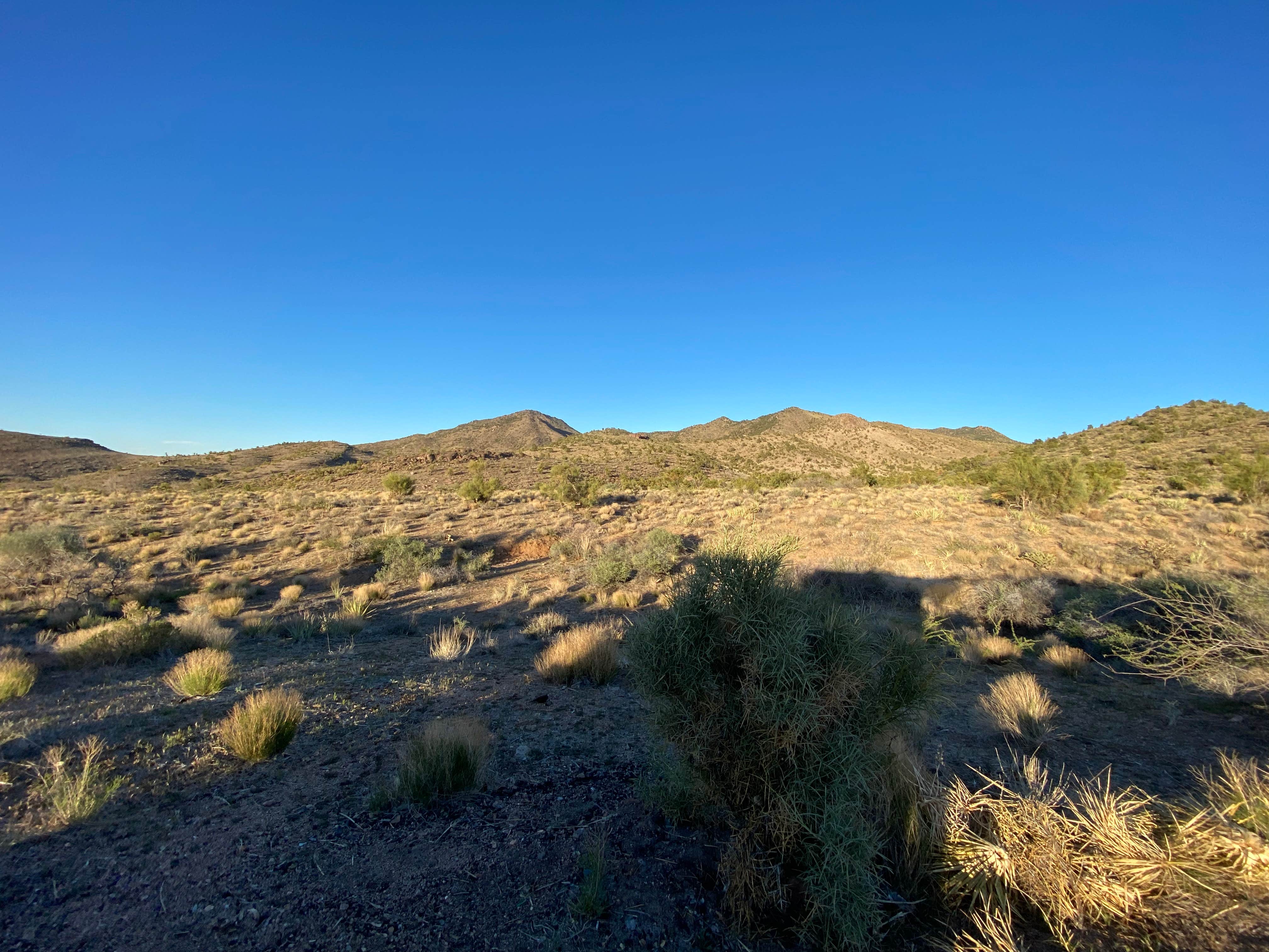 Camper-submitted photo at Hualapai Mountain Road near Kingman, AZ