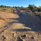 Review photo of Hualapai Mountain Road by Imerie T., May 16, 2025