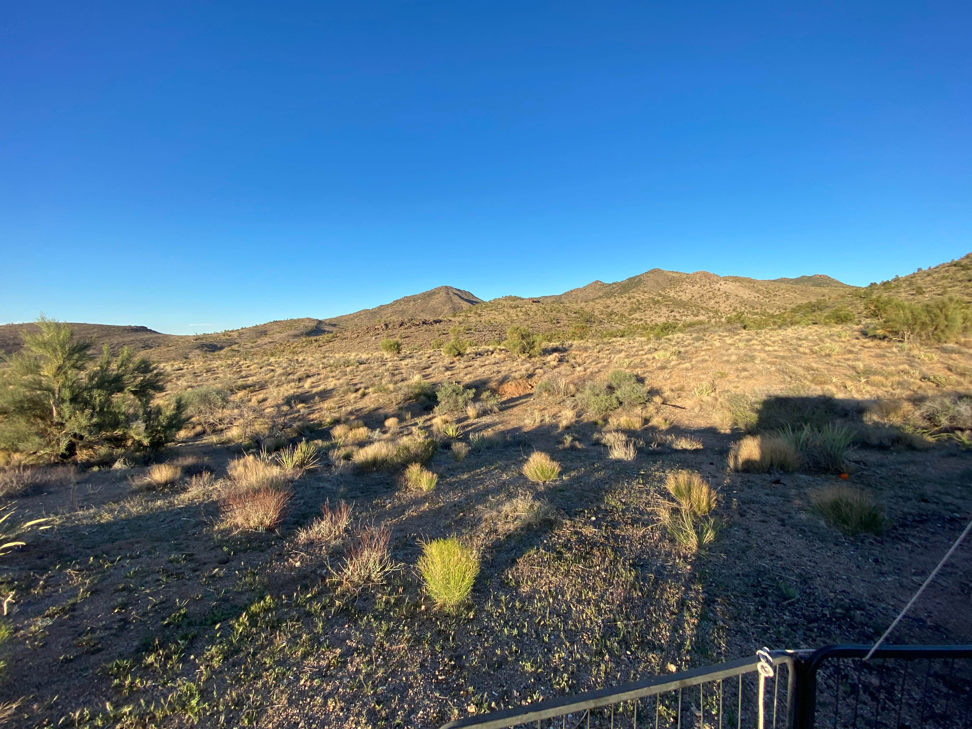 Camper submitted image from Hualapai Mountain Road - 3