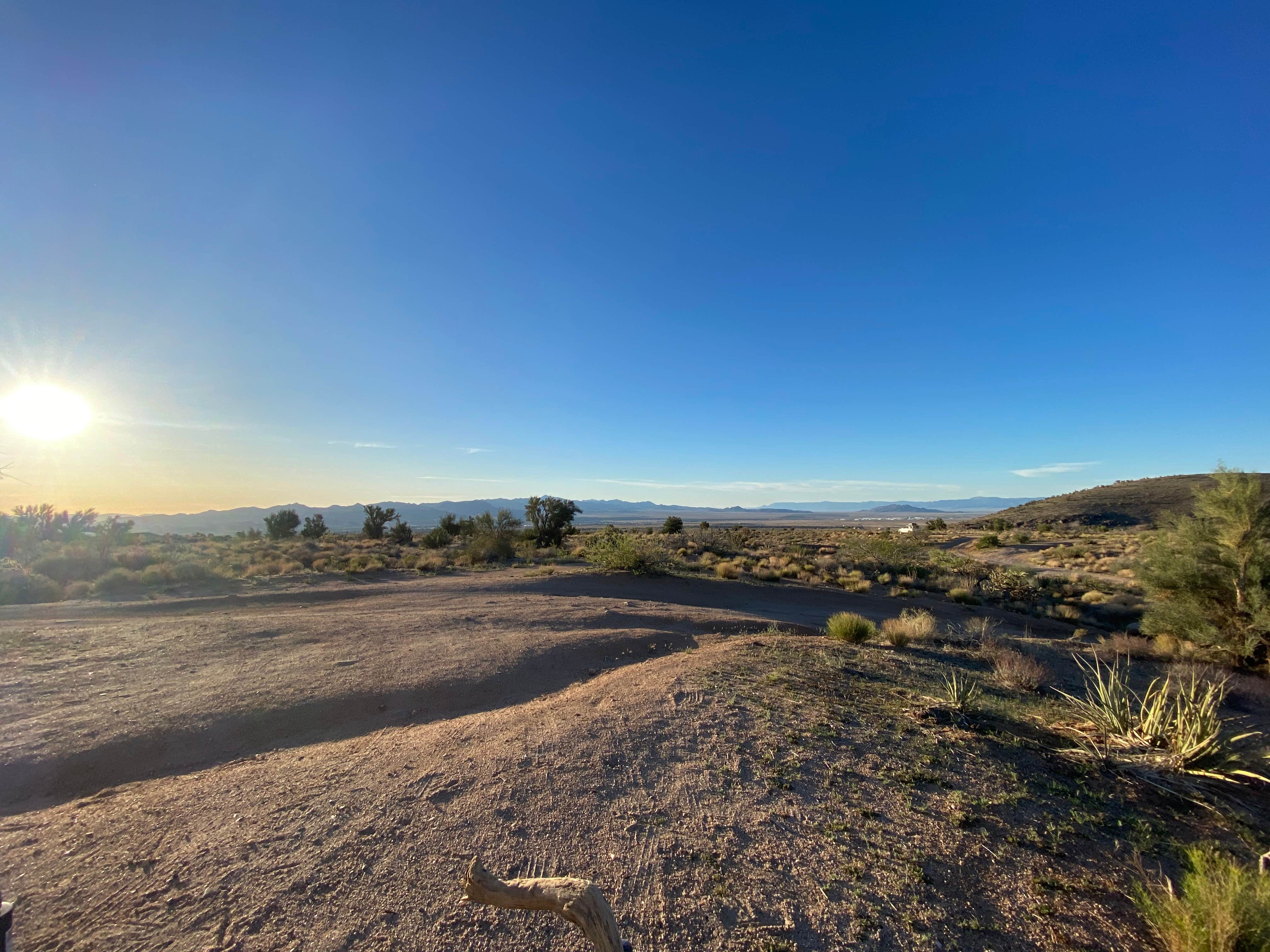 Imerie T.'s photo of a dispersed camping area at Hualapai Mountain Road near Kingman, AZ